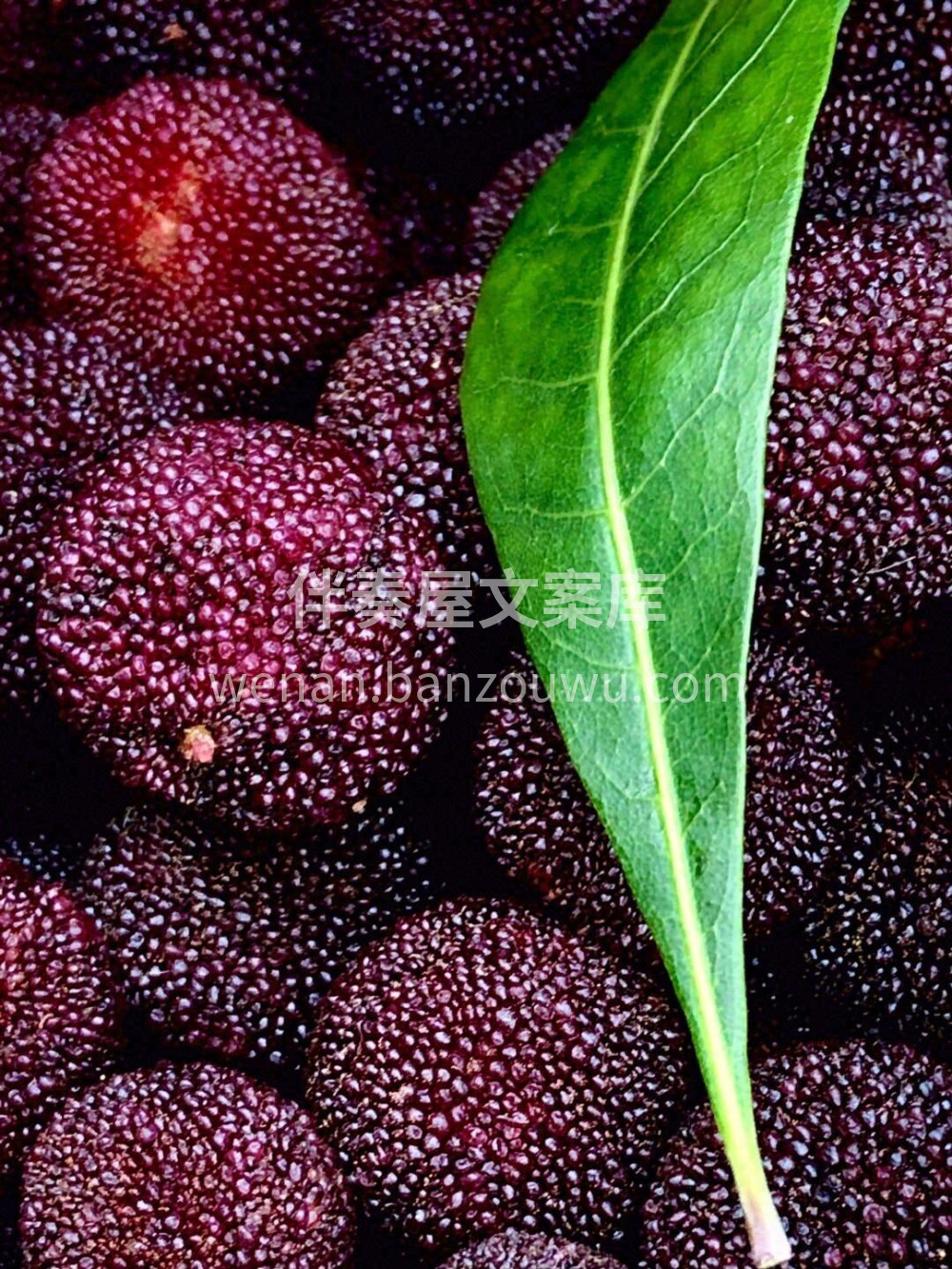 一颗好吃的杨梅?夏天的味道❤️​ 既有甜 配图2