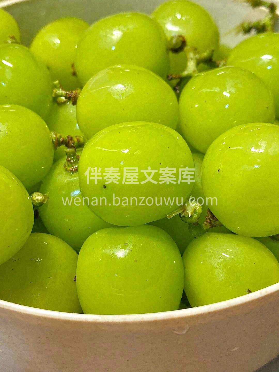 只要阳光玫瑰还在🌈，明天就有所期待🎉 来 配图1