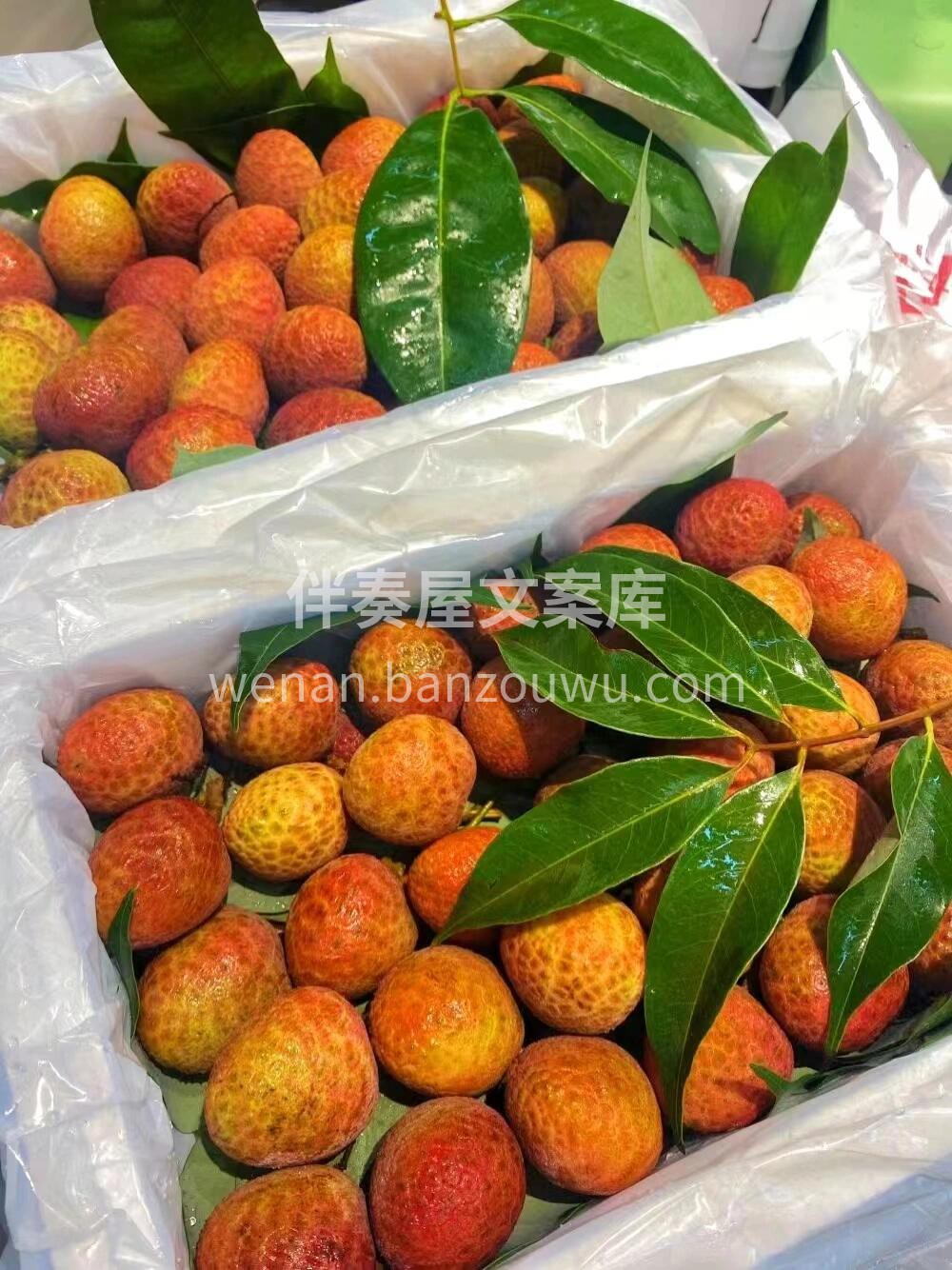 ?桂花香荔枝，淡淡的桂花香，汁水丰盈，核 配图3