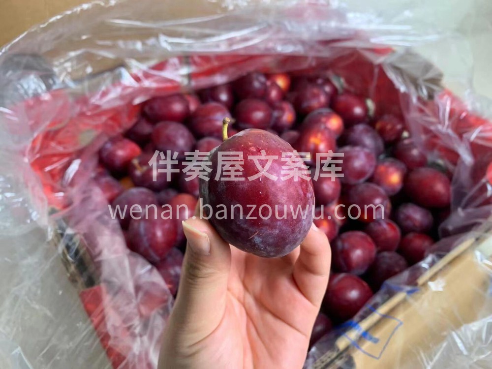 空运✈️鸡心李❤️ 口感紧实，疯狂爱吃? 吃一次盼一年，入口 配图3