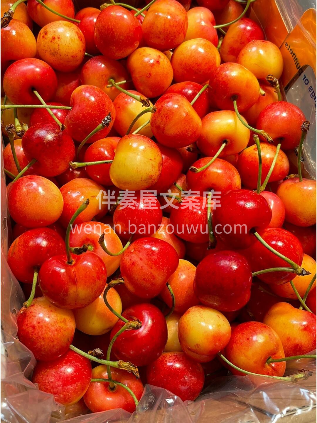 🌟进口黄金车厘子🍒新鲜到货 金色的果实， 配图1