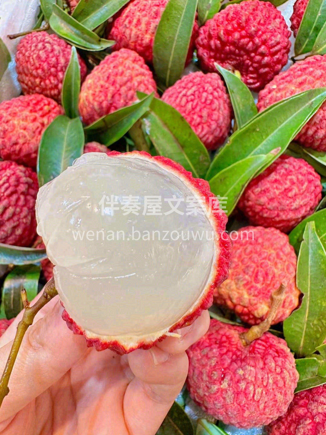 🍃荔枝中的爱马仕——荔枝王 大如鸡蛋🐣， 配图2