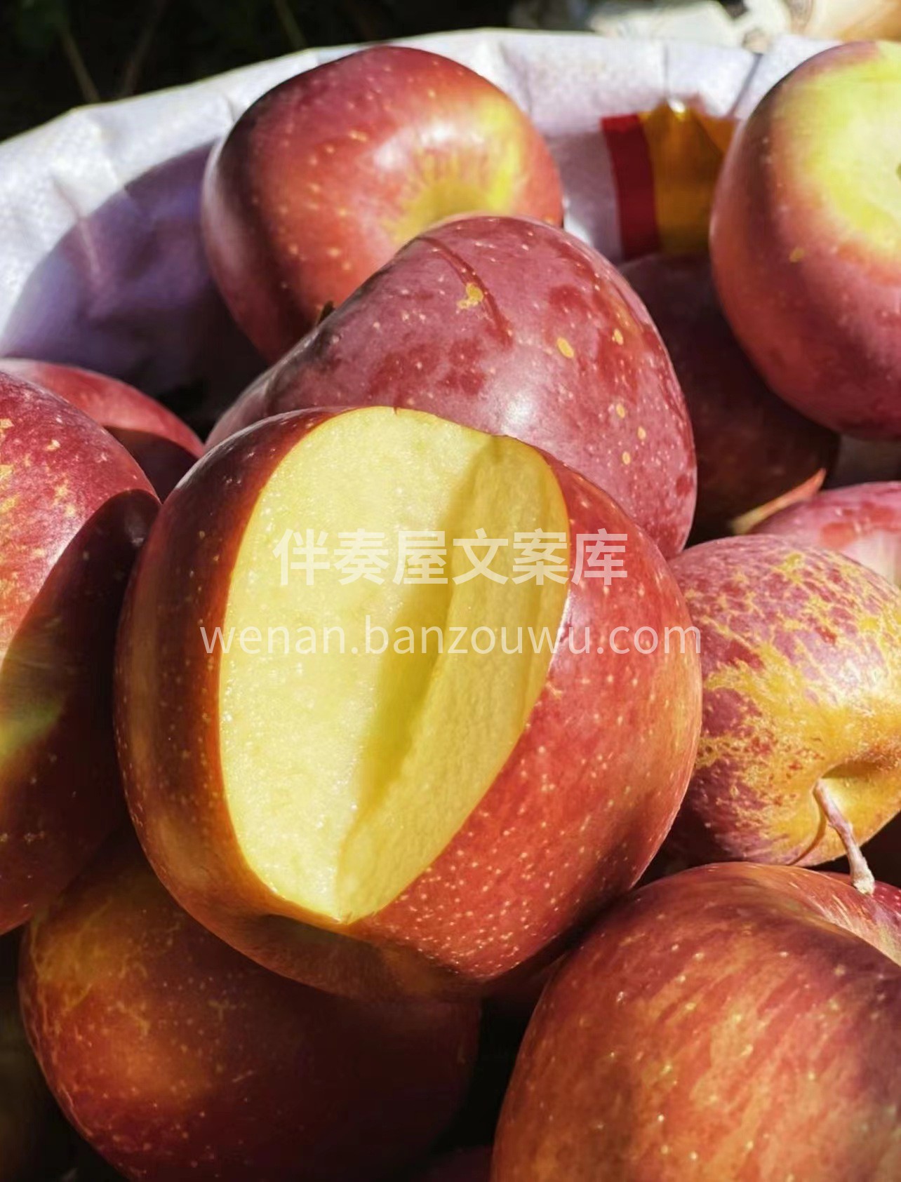 ✨丑爆了！却甜炸了💥 产自海拔2000米 配图2