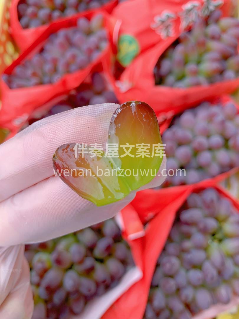🍇浓浓的茉莉花香🌼 成熟期几乎是纯甜🍭的 配图3