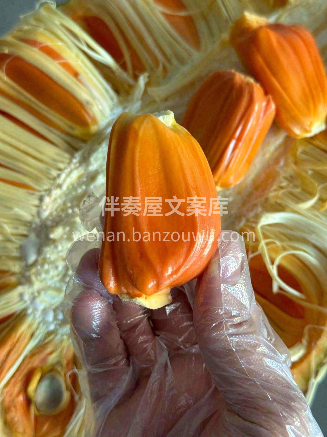 总有一种👄味道，在😇😇舌尖上提醒着我们， 配图1
