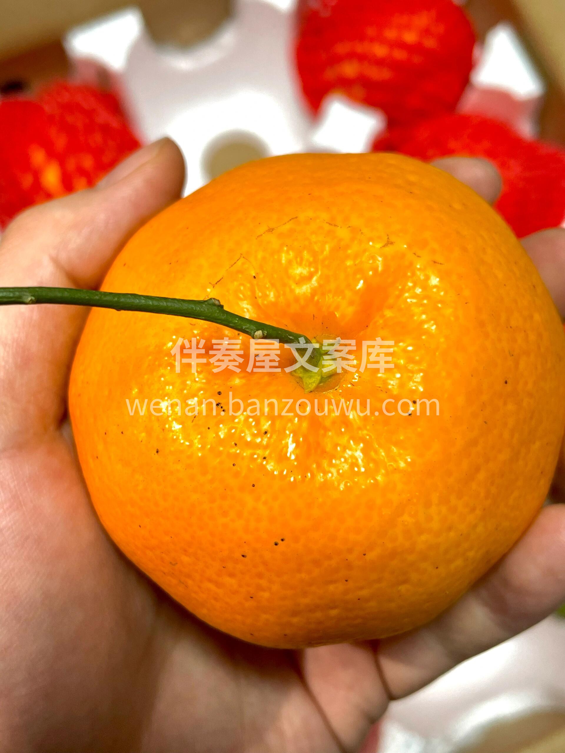 特别推荐🚩🚩🚩‼ 真心好吃口感纯甜🌈~  配图2
