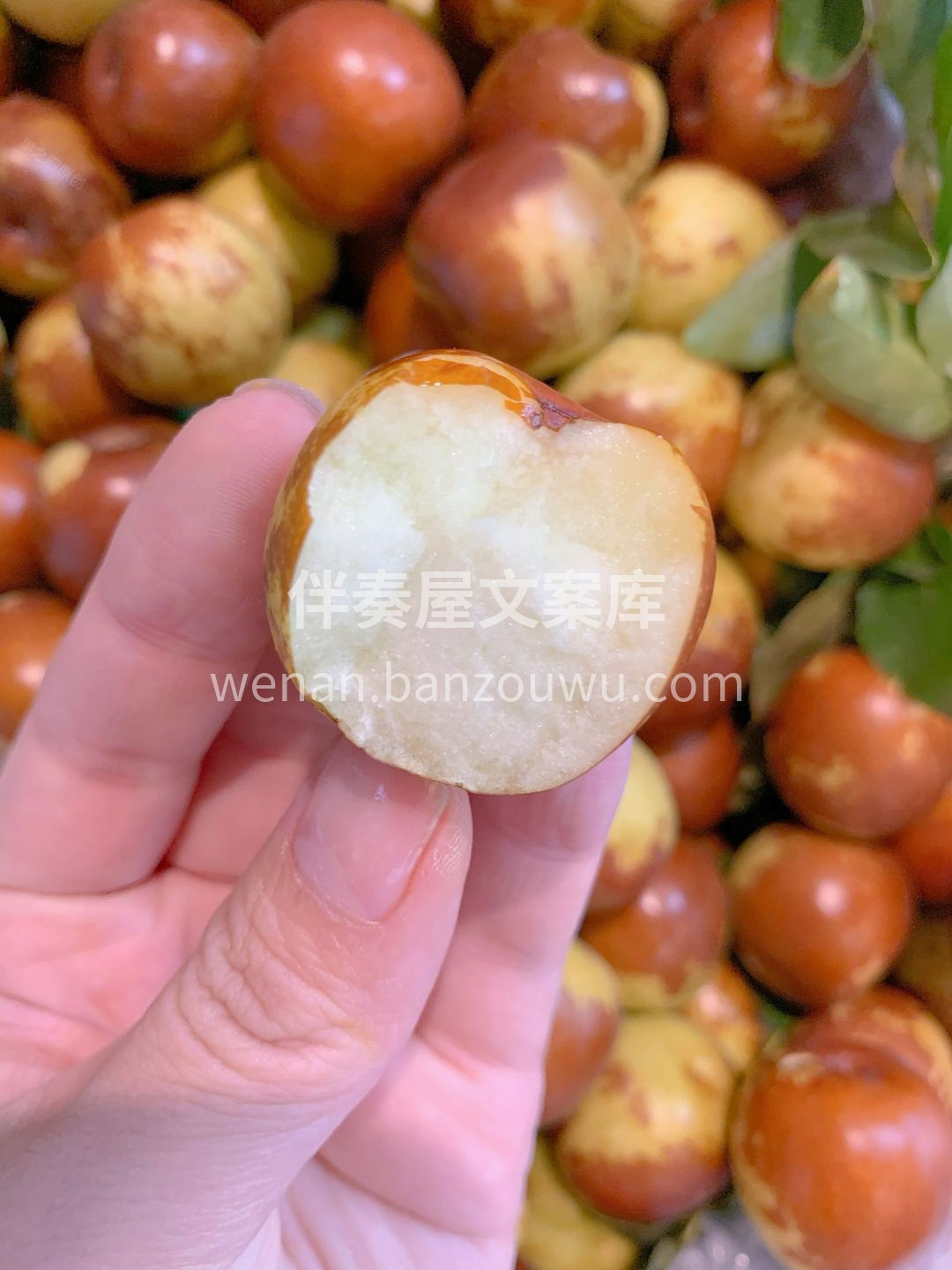冬枣的快乐在于入口嘎嘣爽脆💥 在畅快的咀 配图1