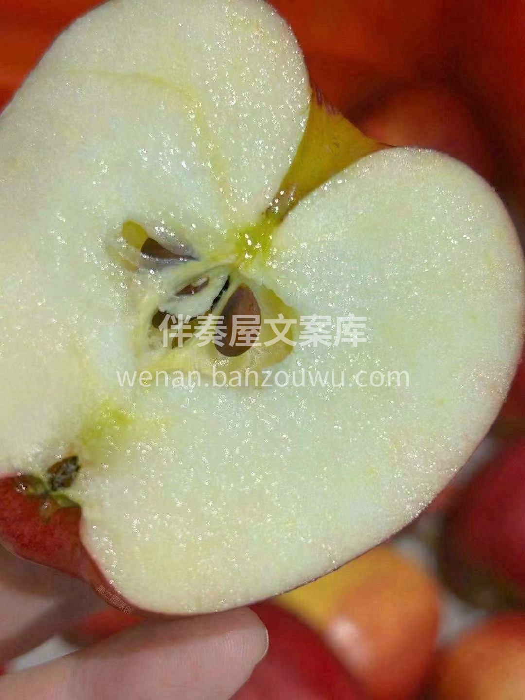 🔆🔆热辣辣的夏天，来一口嘎嘣💥爽脆的加力 配图1