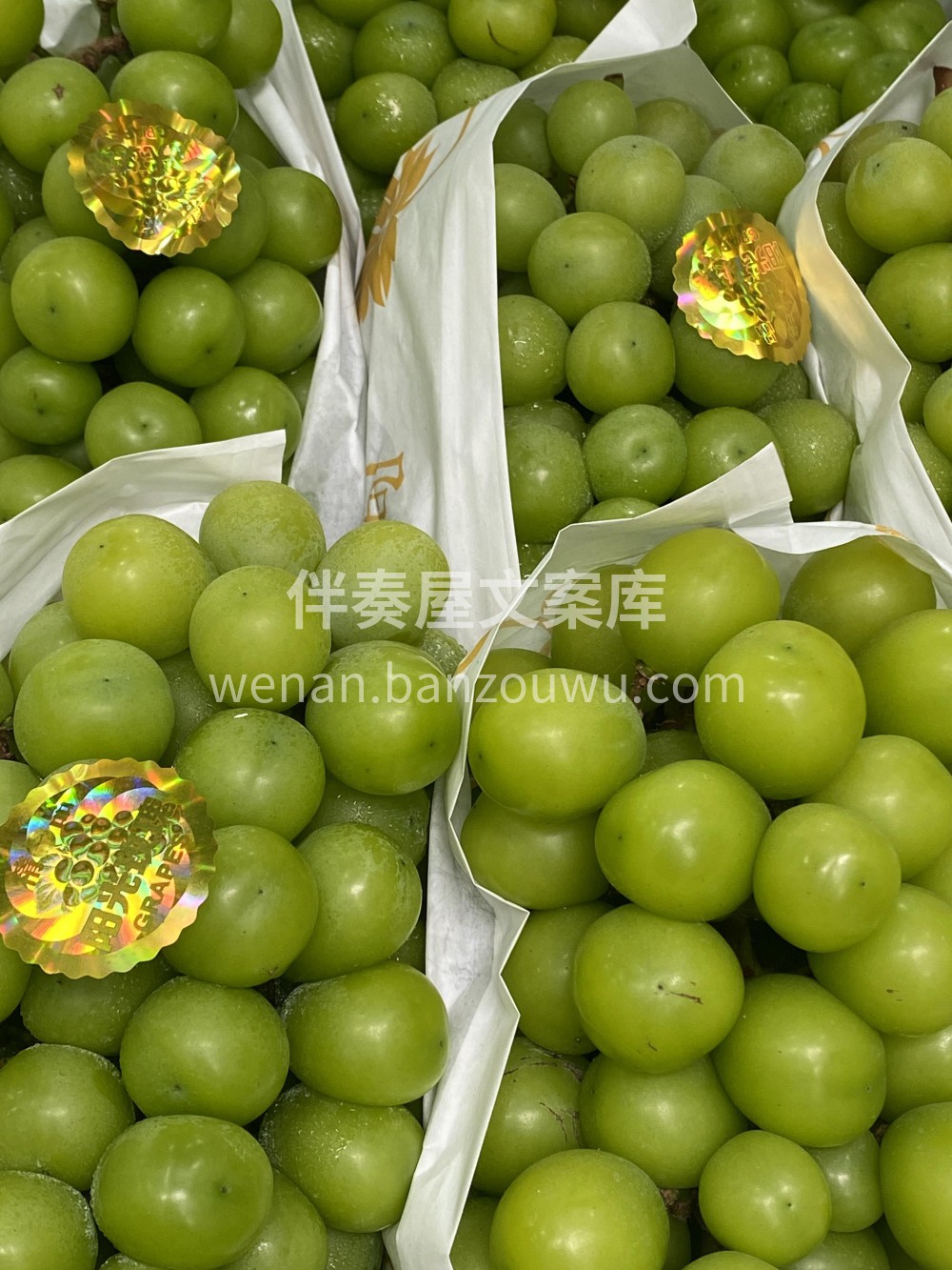 葡萄界白富美🫅🫅阳光玫瑰💚💚葡萄界的白富 配图1