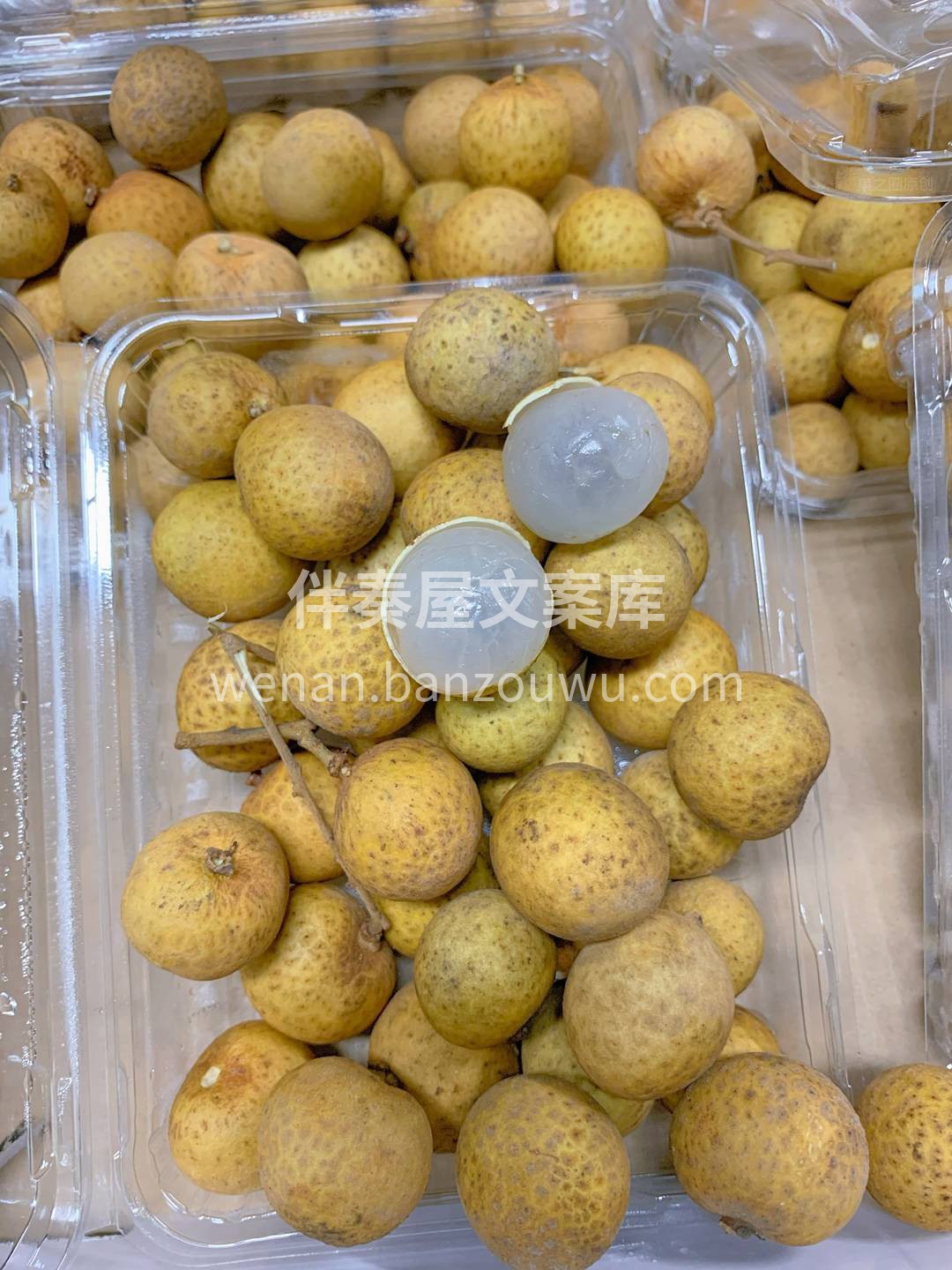 👉剥开黄金壳，映入白玉肤，犹似夜光珠 轻 配图3