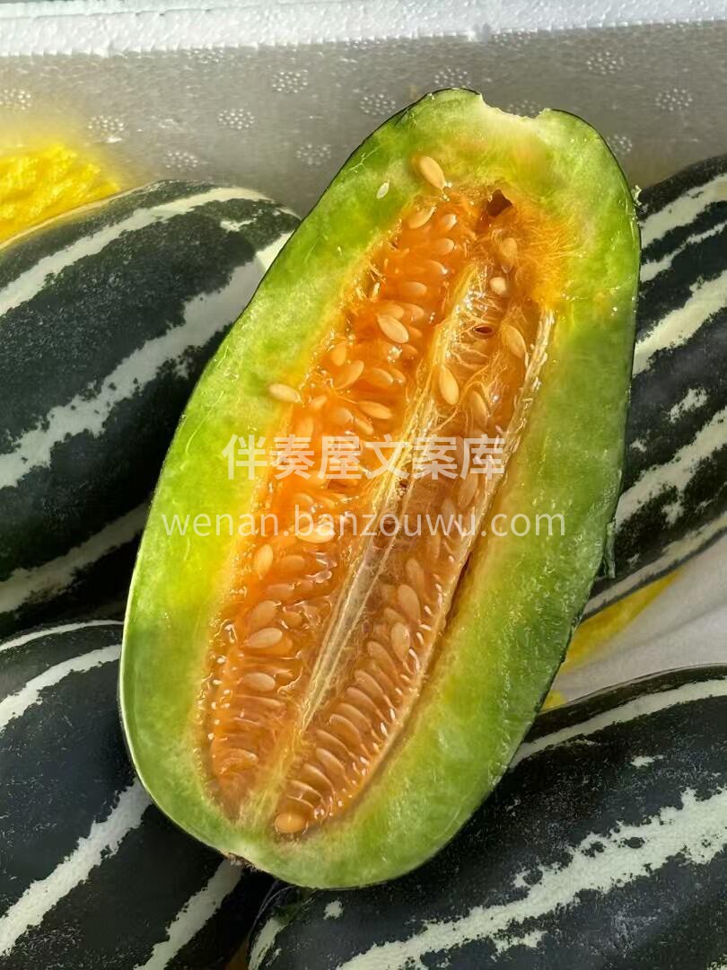春天☀的香瓜，暖阳笼罩☔的屋檐 博洋九给 配图1