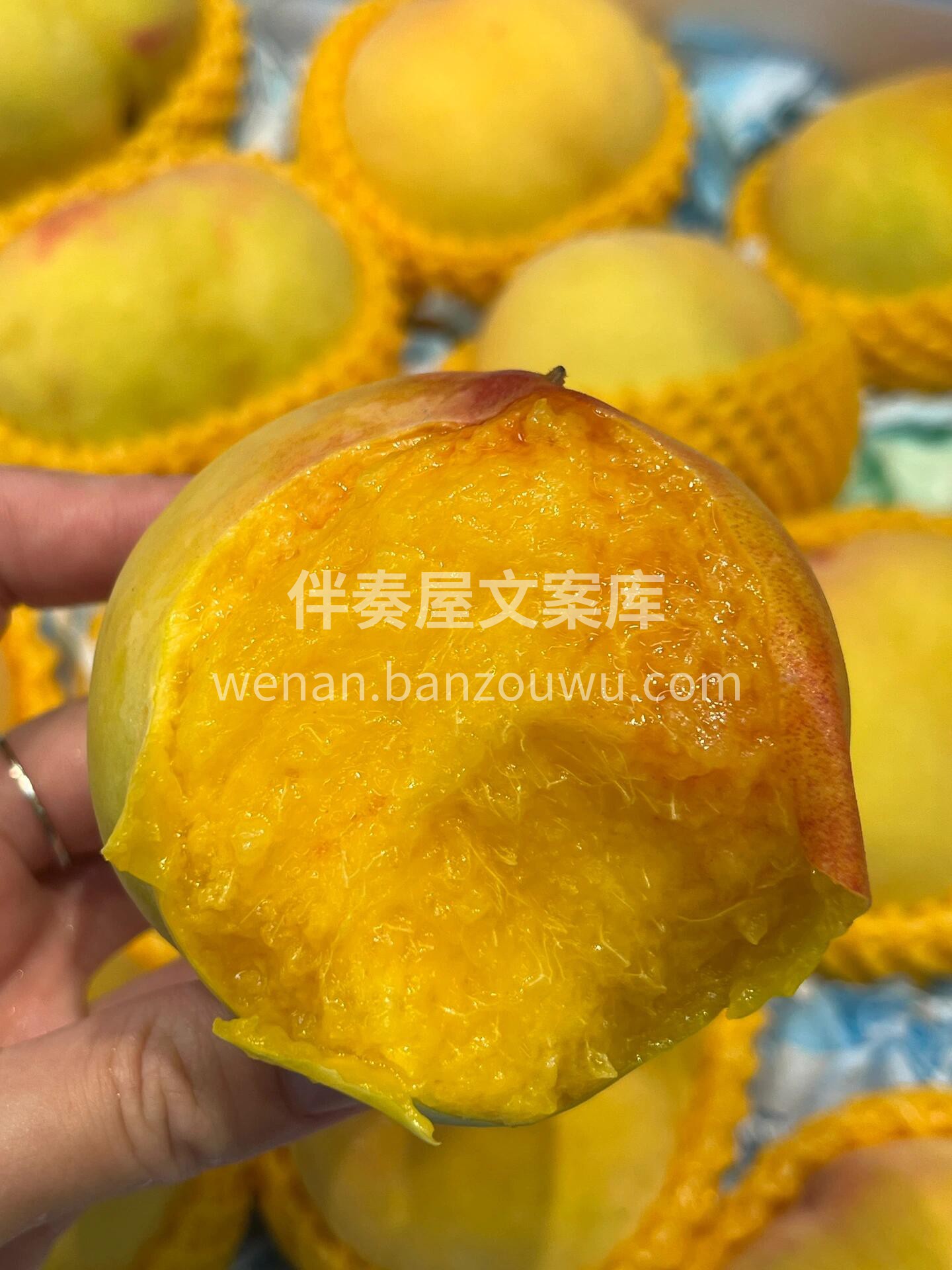 当季热卖款🔥黄桃🍑 一道亮丽的“桃色”风 配图3
