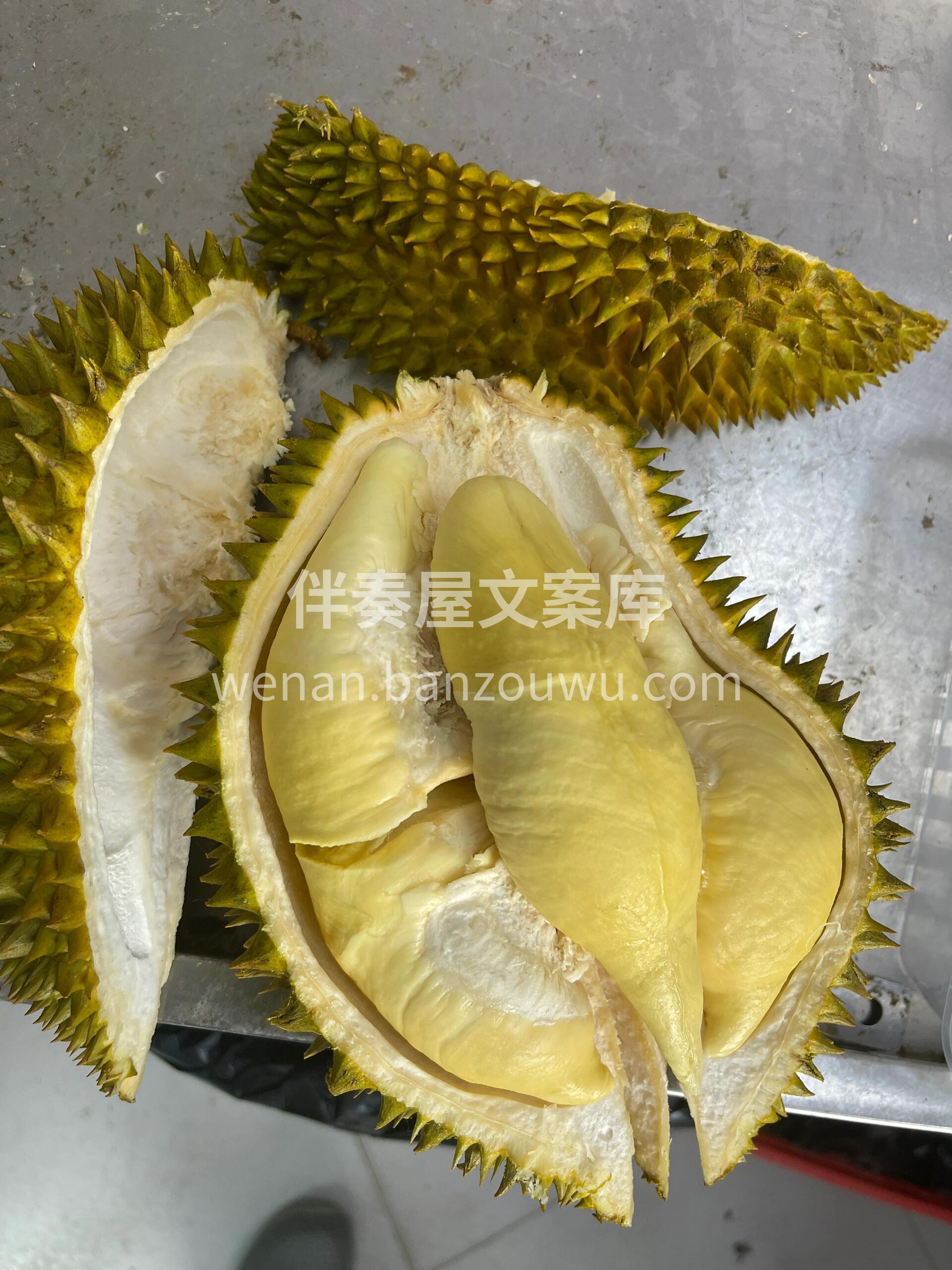 🧡疯狂报恩的树熟金枕榴莲 ✅持续出单，香 配图2