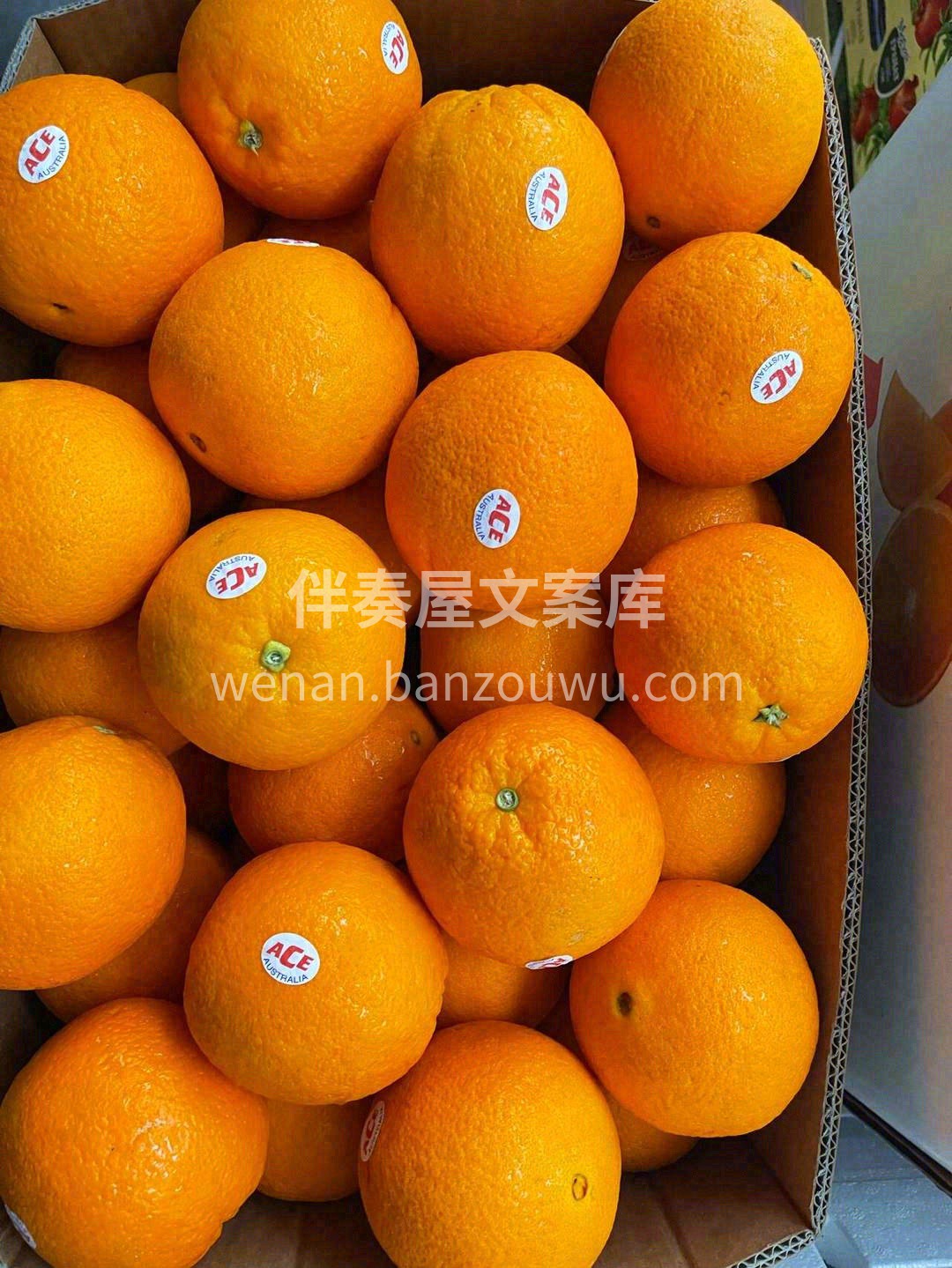 漂洋过海，满足您对橙子的一切幻想🚢 水汪 配图1