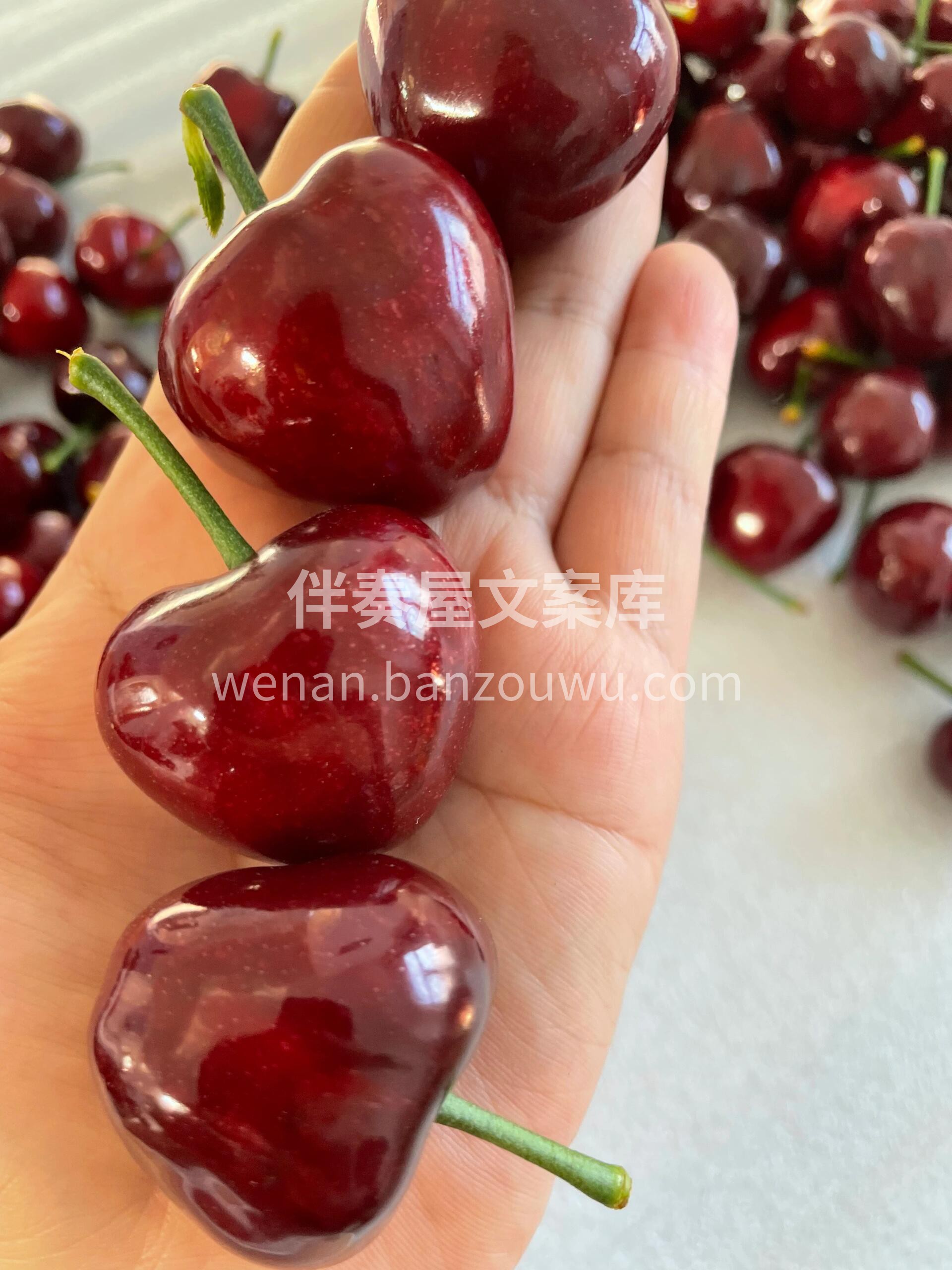 每天有每天的快乐🎉 ～ 大樱桃🍒一口一颗 配图1