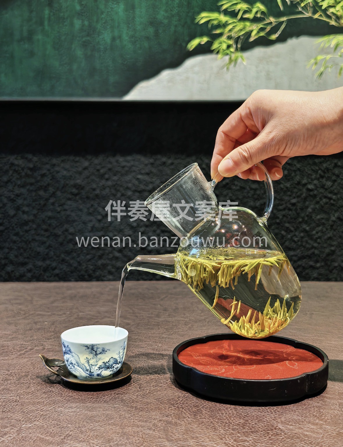 崂山云雾养好茶🌿/新春年货. ✨明前绿茶 配图2