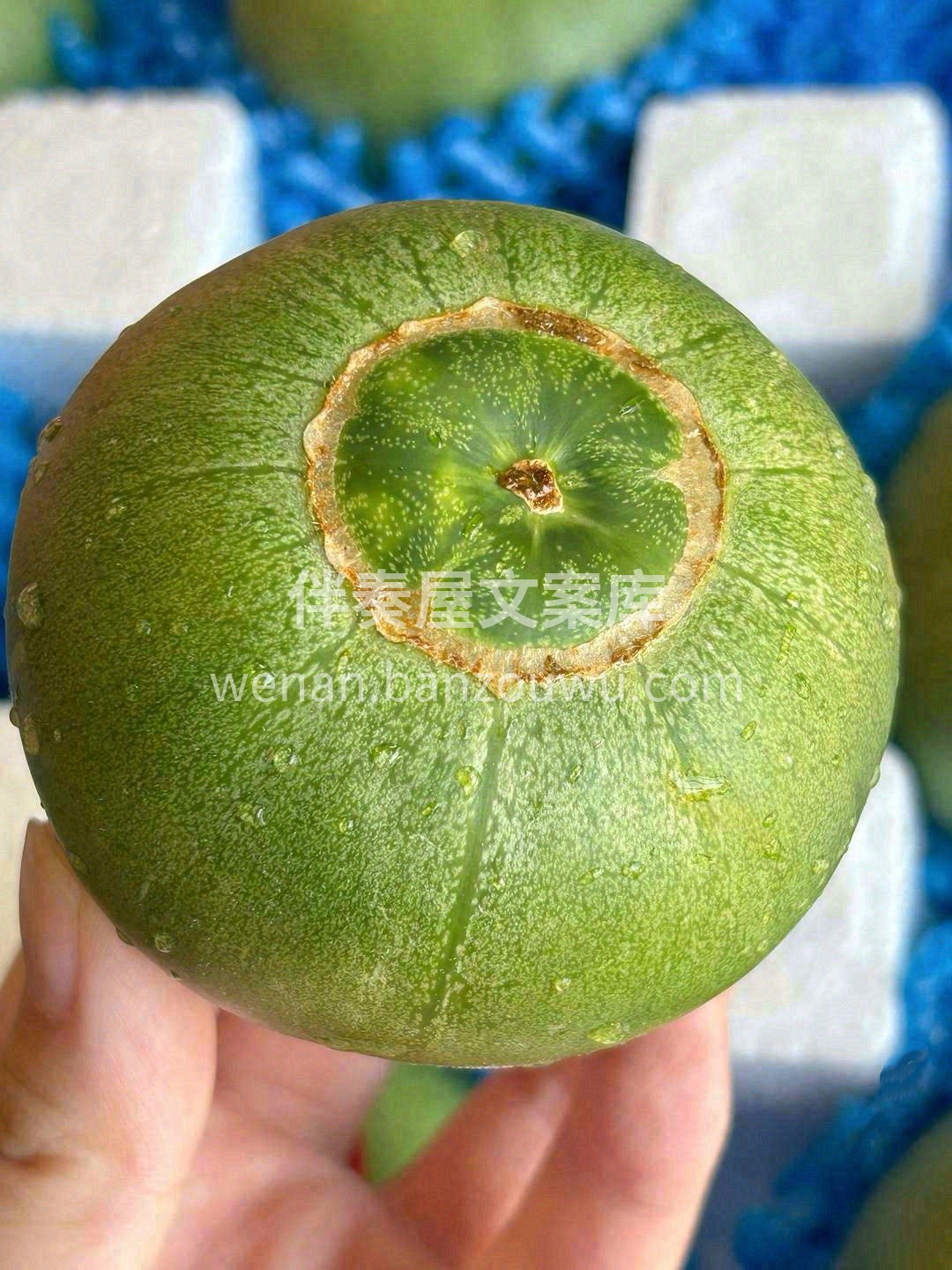 你的快乐补给站已上新🛒 爆汁橙子🍊香甜蜜 配图1