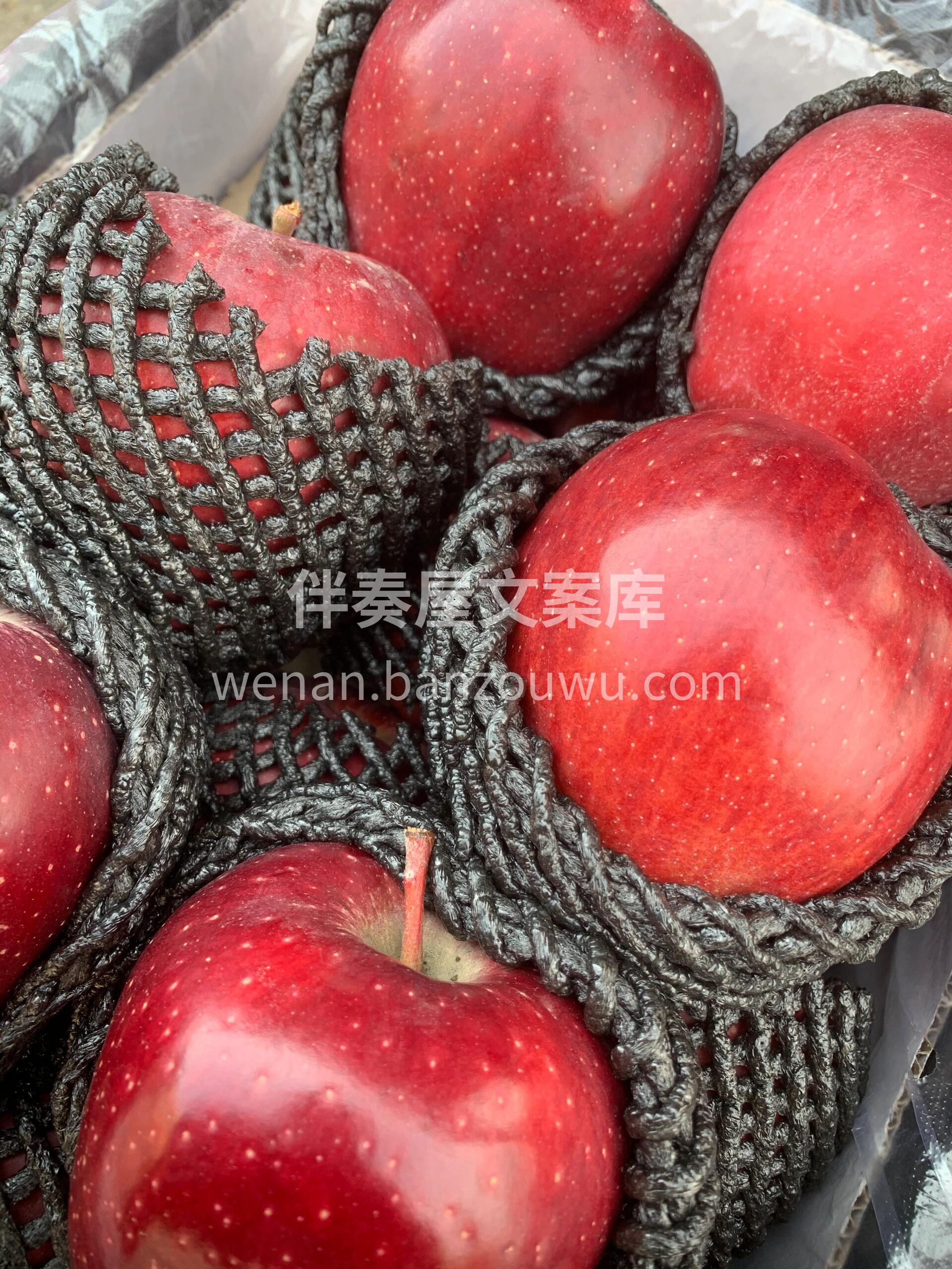 吃了会上瘾的一款苹果😍 【甘肃花牛苹果】 配图1