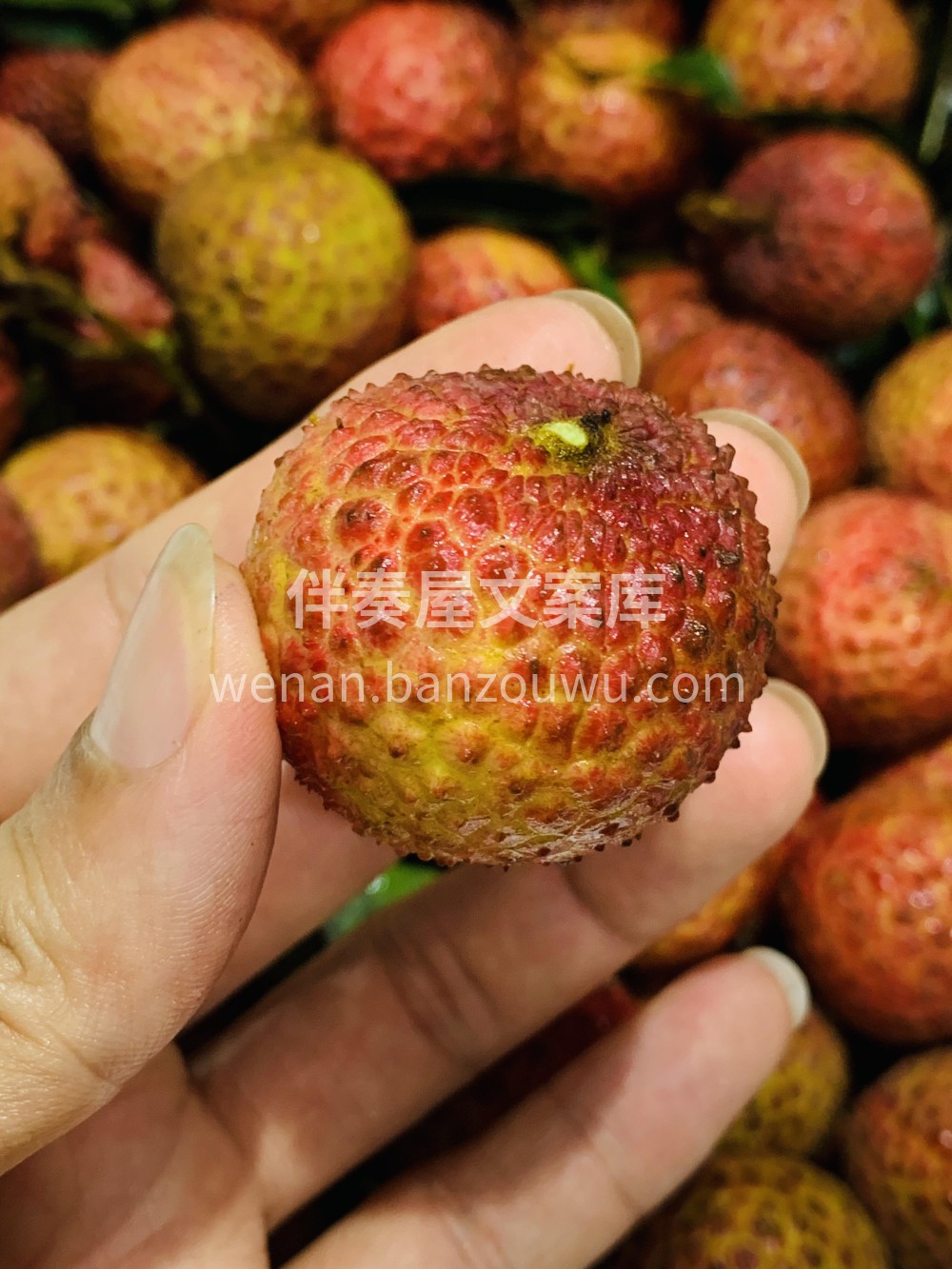 桂味荔枝💚尝完这口桂味甜🍭然后就和这个世 配图2