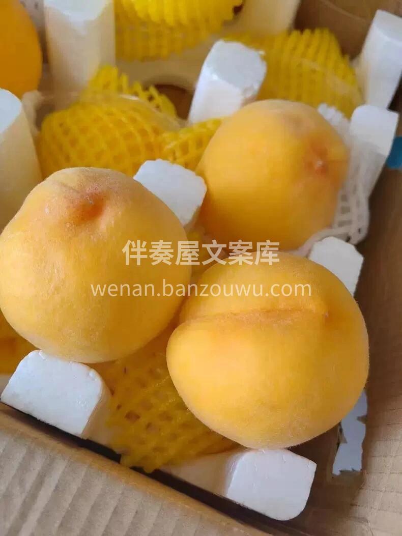 🍑黄金蜜黄毛桃🌟💢桃子就是这么美[哇]始 配图1
