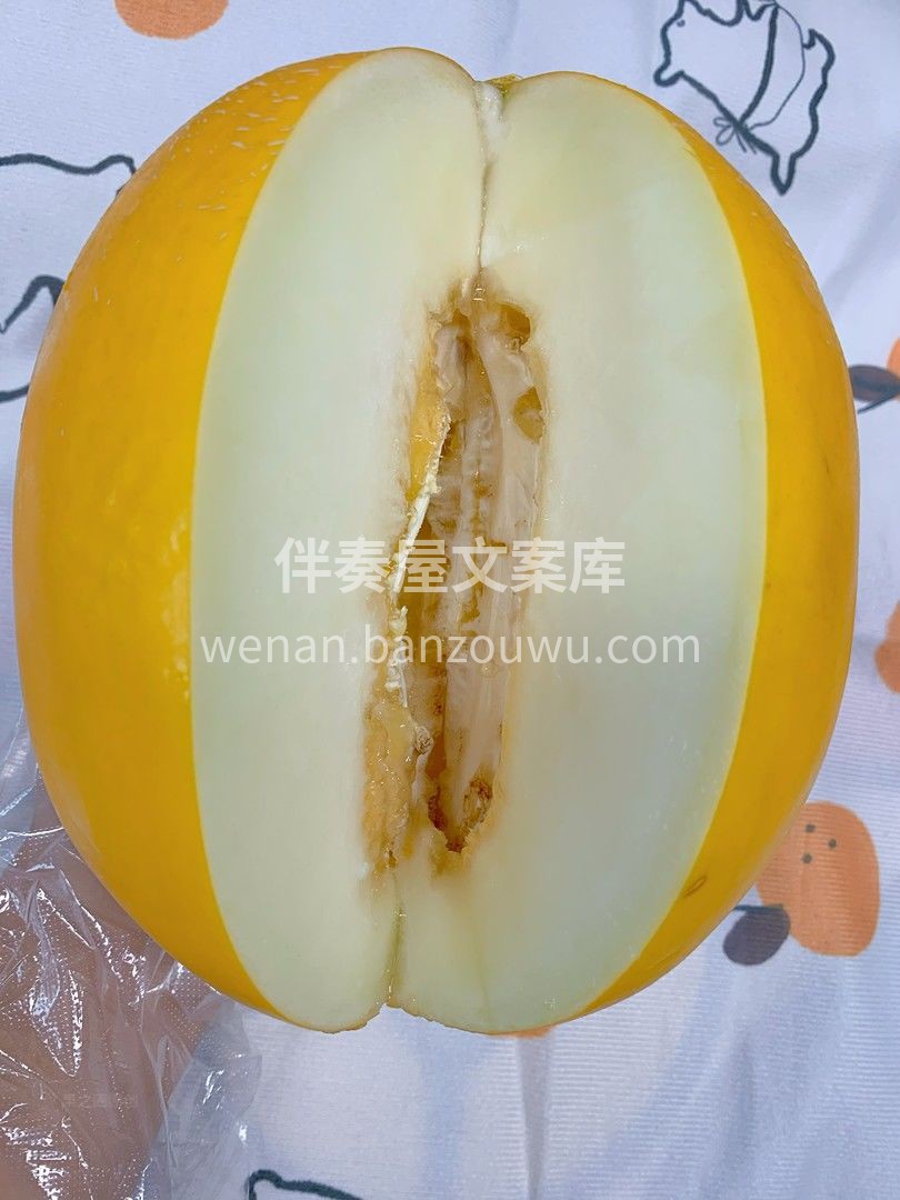 💛黄金瓜皮外形圆润，熟透了的瓜闻起来就有 配图2