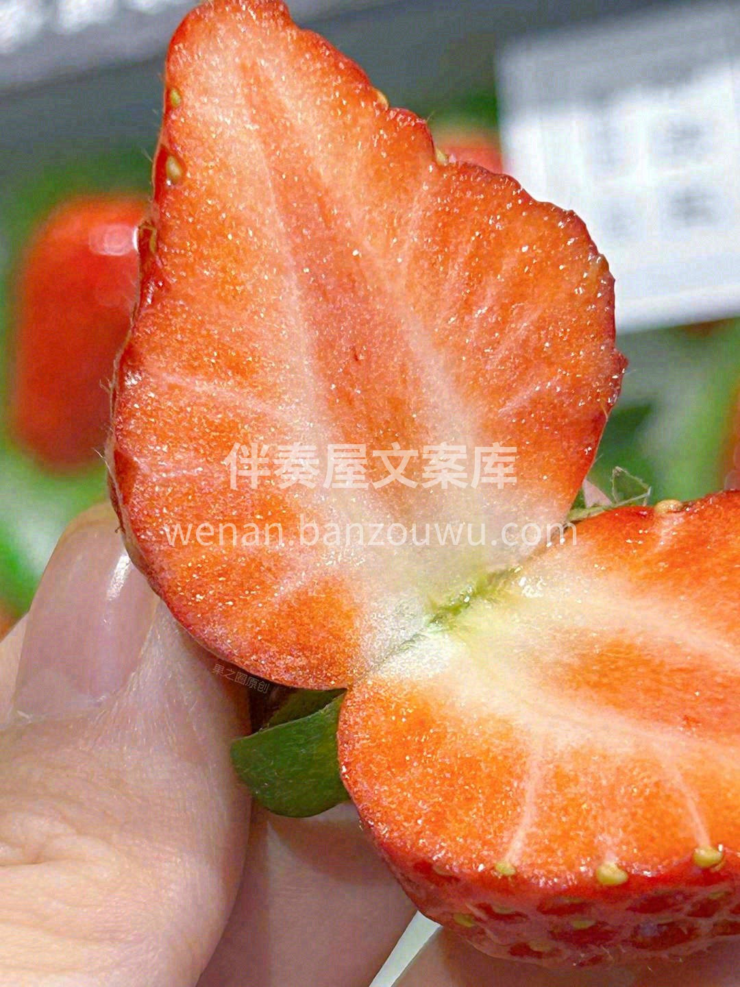 丹东红颜🍓 草莓是冬的气息❄，除了霸道总 配图1