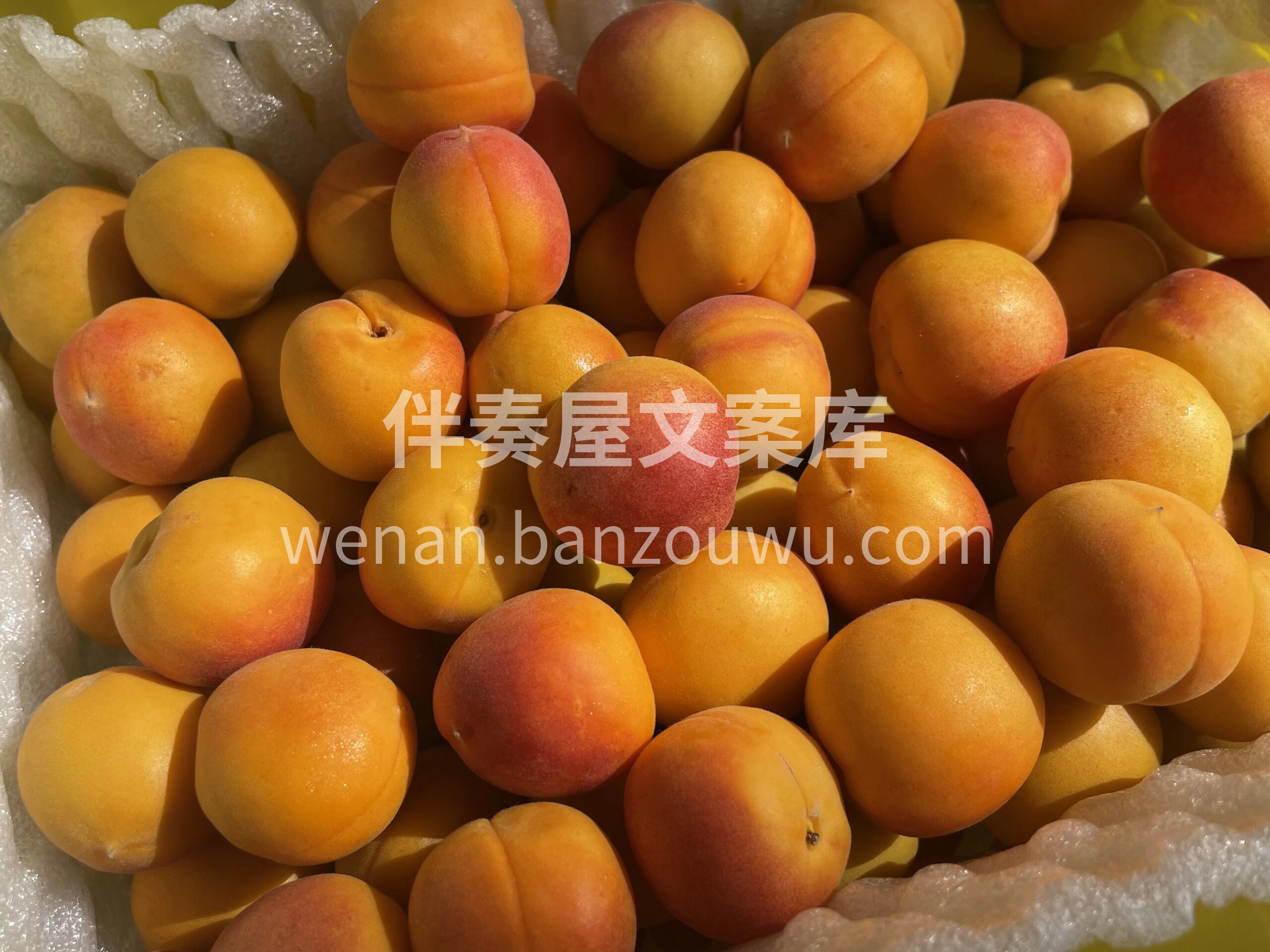 爱吃😋新疆吊干杏的宝宝们来约吧😍怎么会有 配图1