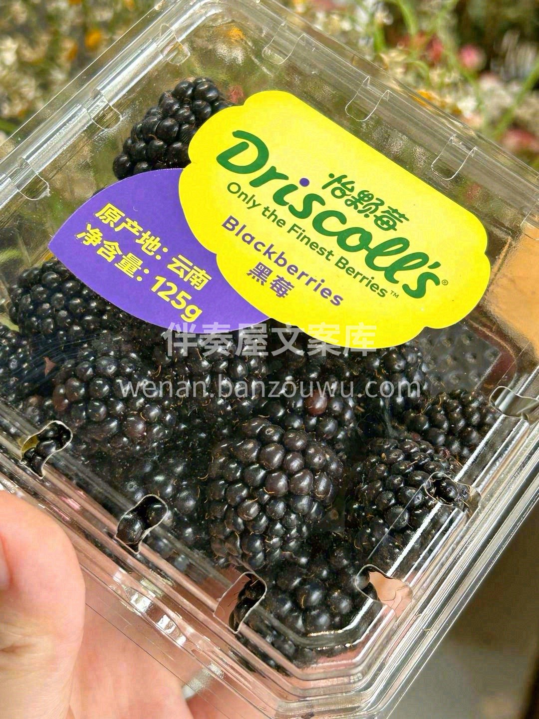 黑树莓到货🚢！ 来这里遇见最“莓”好的浆 配图3