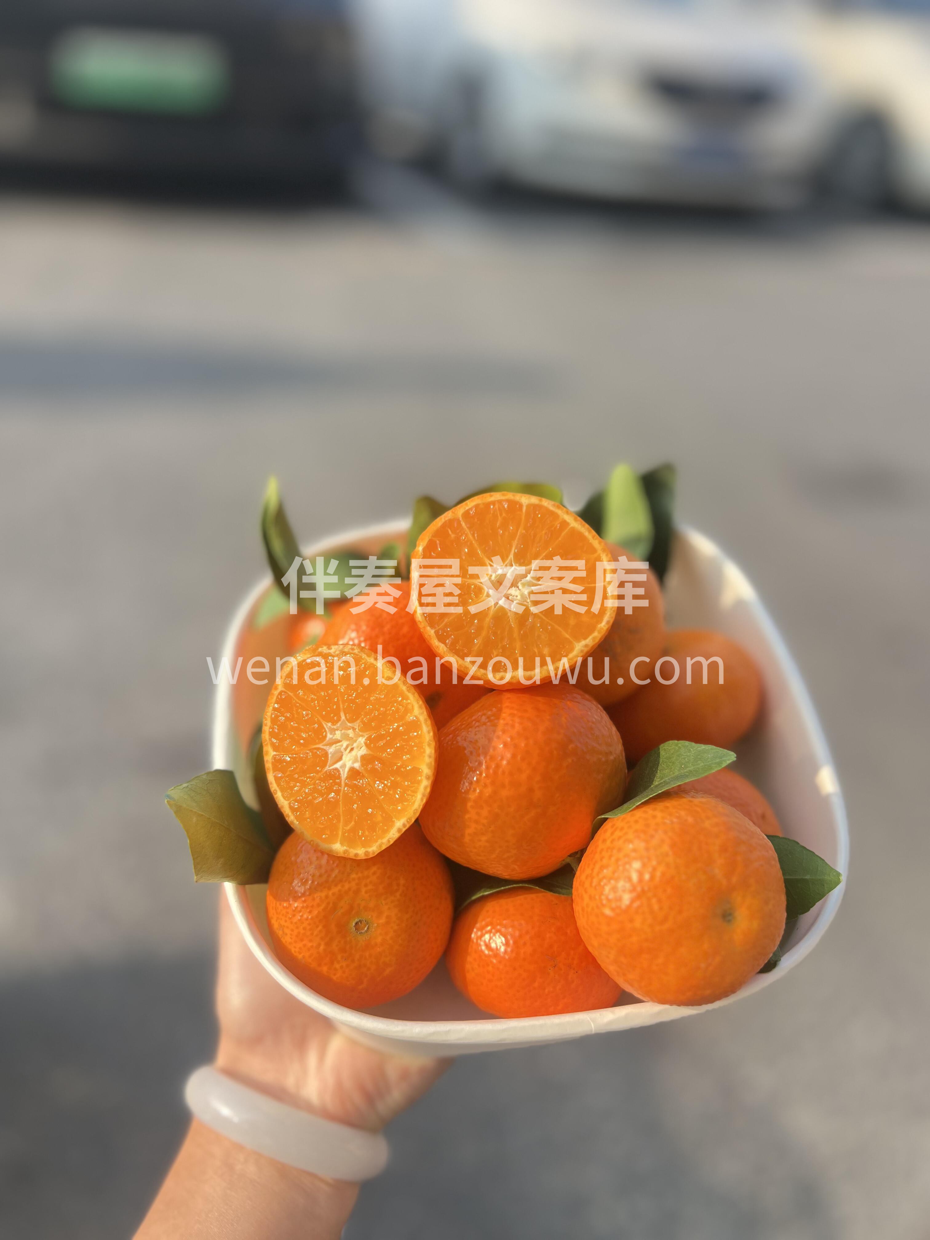 今日维C补给✅ 砂糖橘自由的快乐谁懂啊！ 配图1