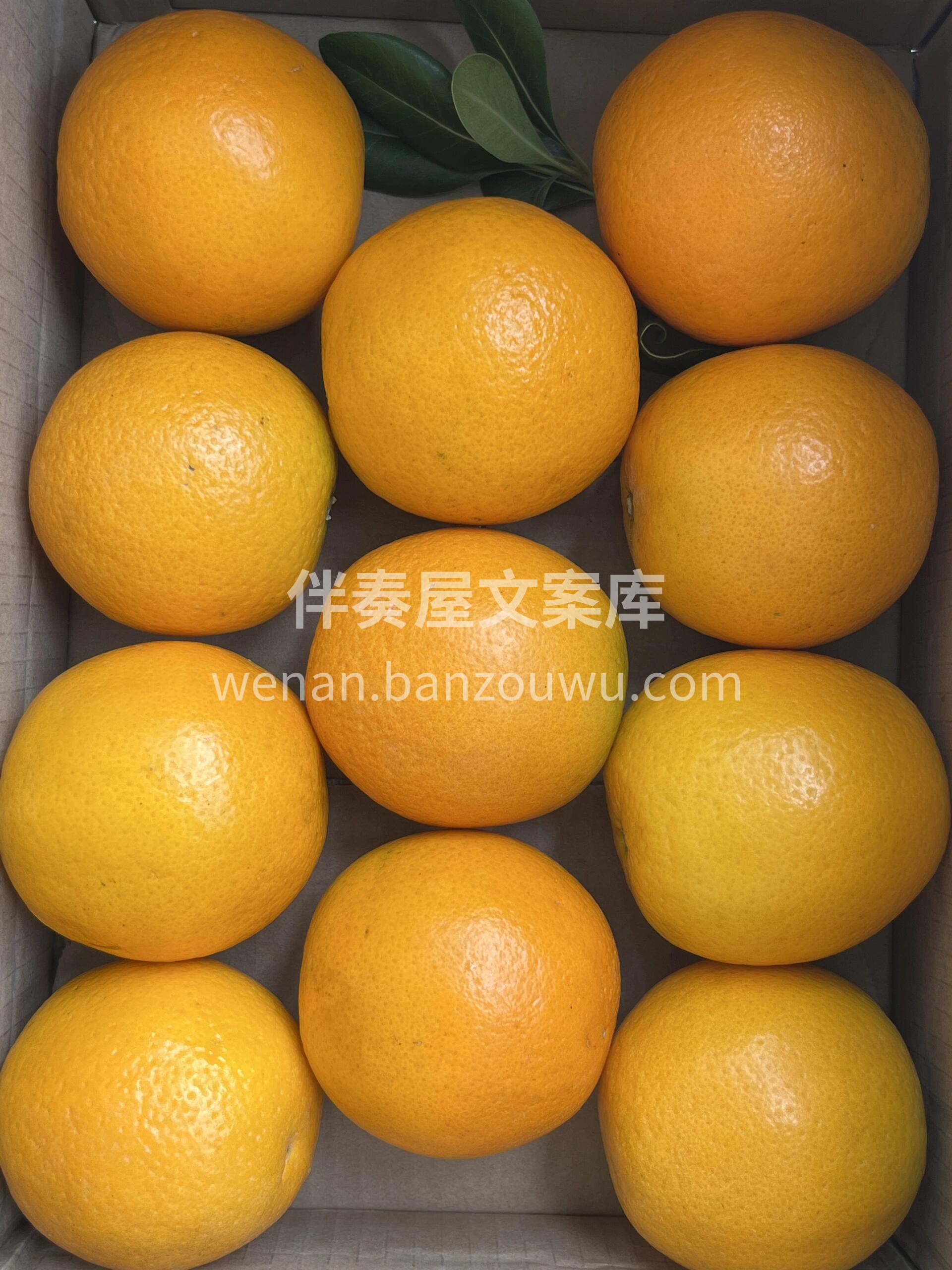 酸甜可口，汁多饱满，夏天独一份！ 🍊秭归 配图3