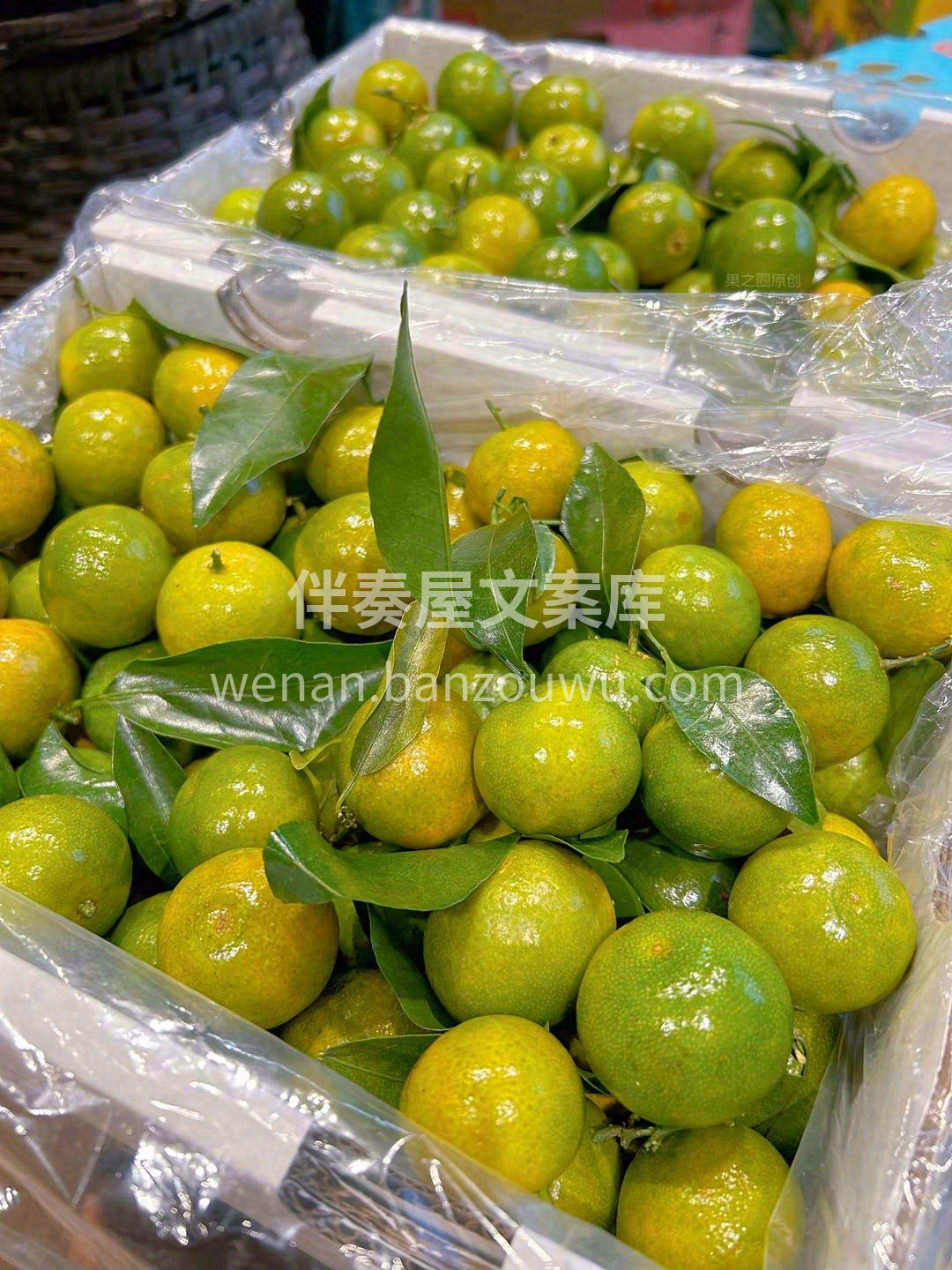 清香茶橘丨放心吃😋 人见人爱，花见花开🌸 配图3