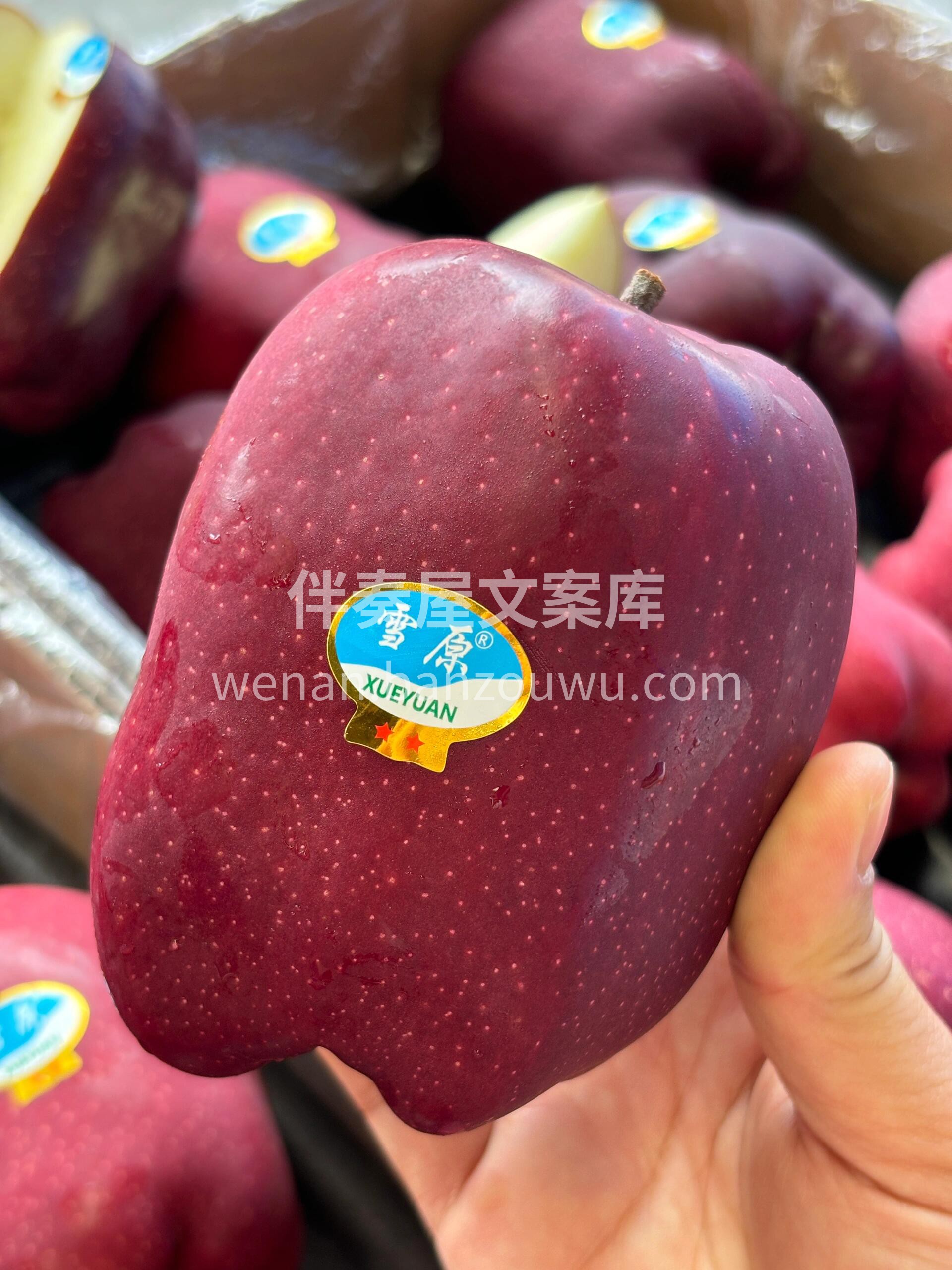 新鲜的花牛苹果🍎甜度超高❗️ 嘎嘣脆的果 配图2