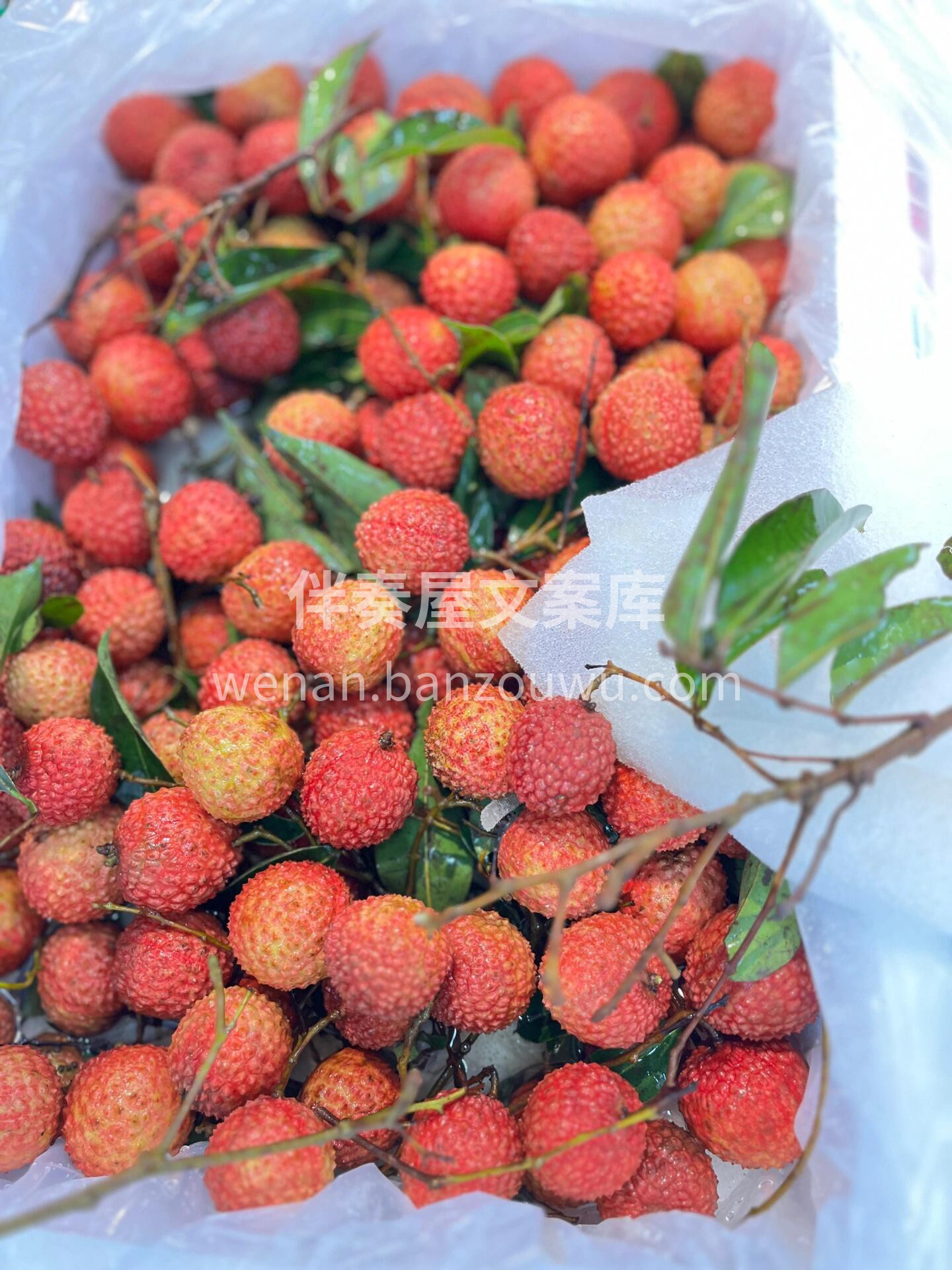 桂味荔枝到啦👏 绝绝子的夏日美味‼️嘬一 配图3