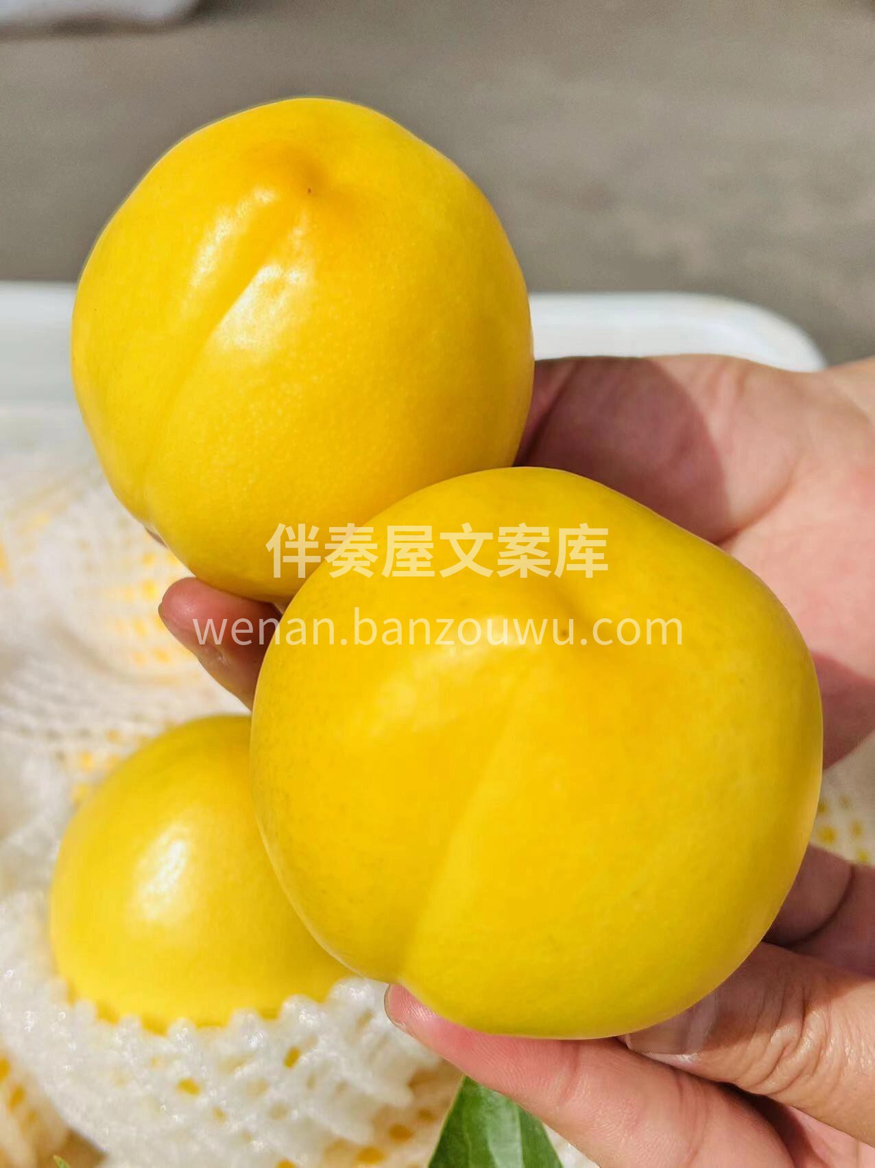 哪款油桃最让你怀念😘集香味➕甜度➕水份➕ 配图3