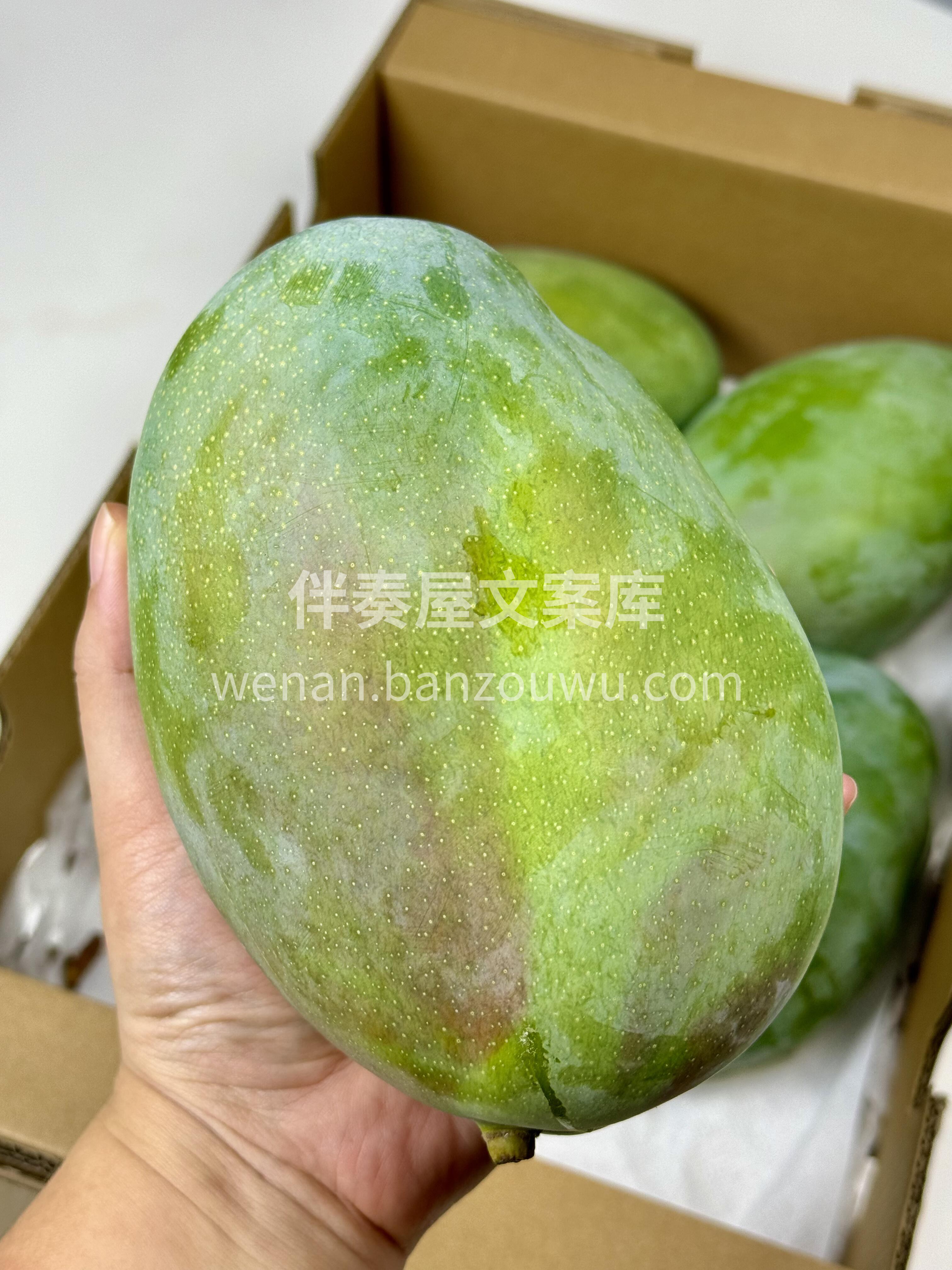今日分享—凯特芒🥭口感爆甜‼️ 舌尖上的 配图3