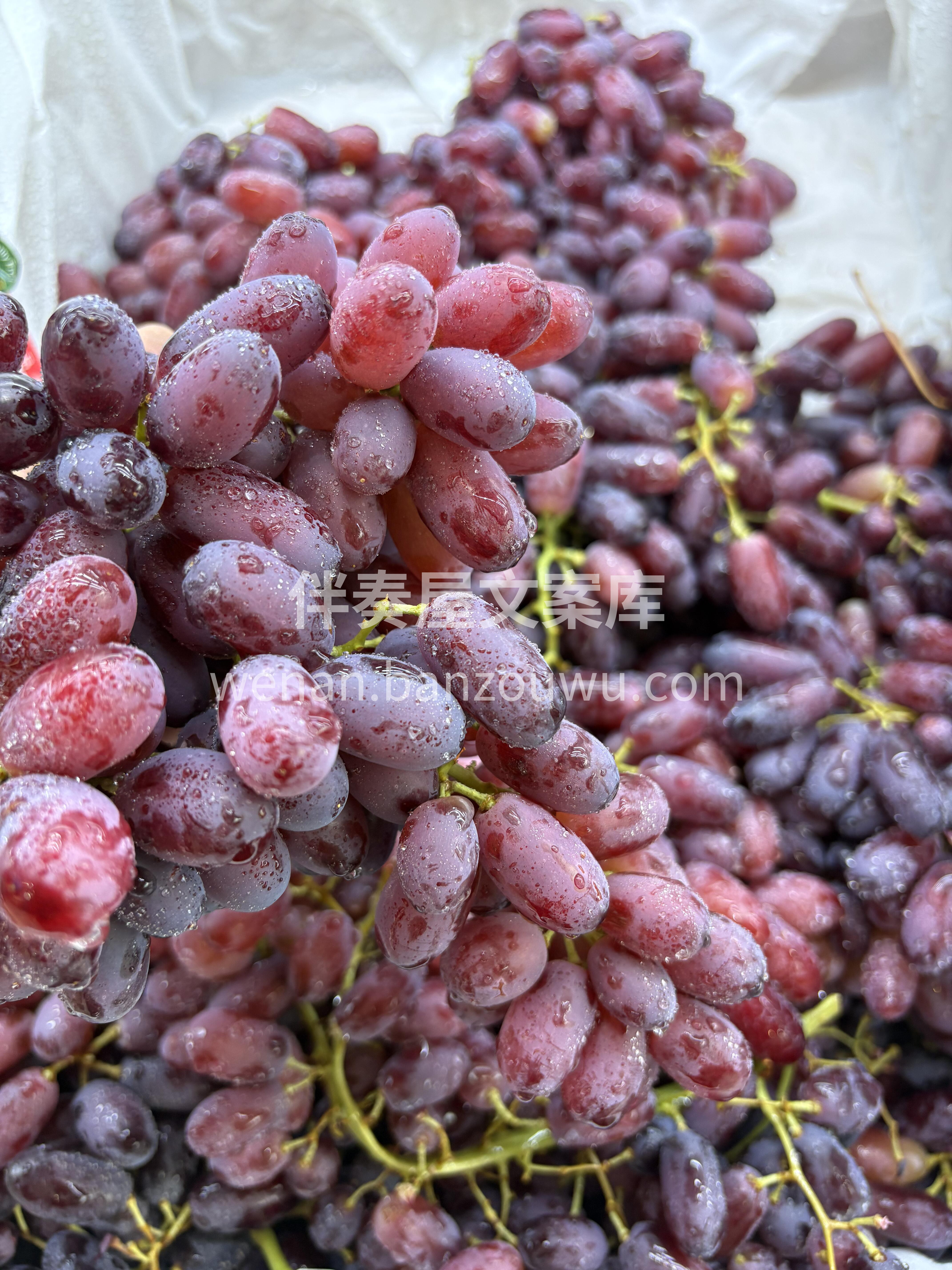 美人指🈚️籽黑提🍇 稀有品种🌟，外形独特 配图2