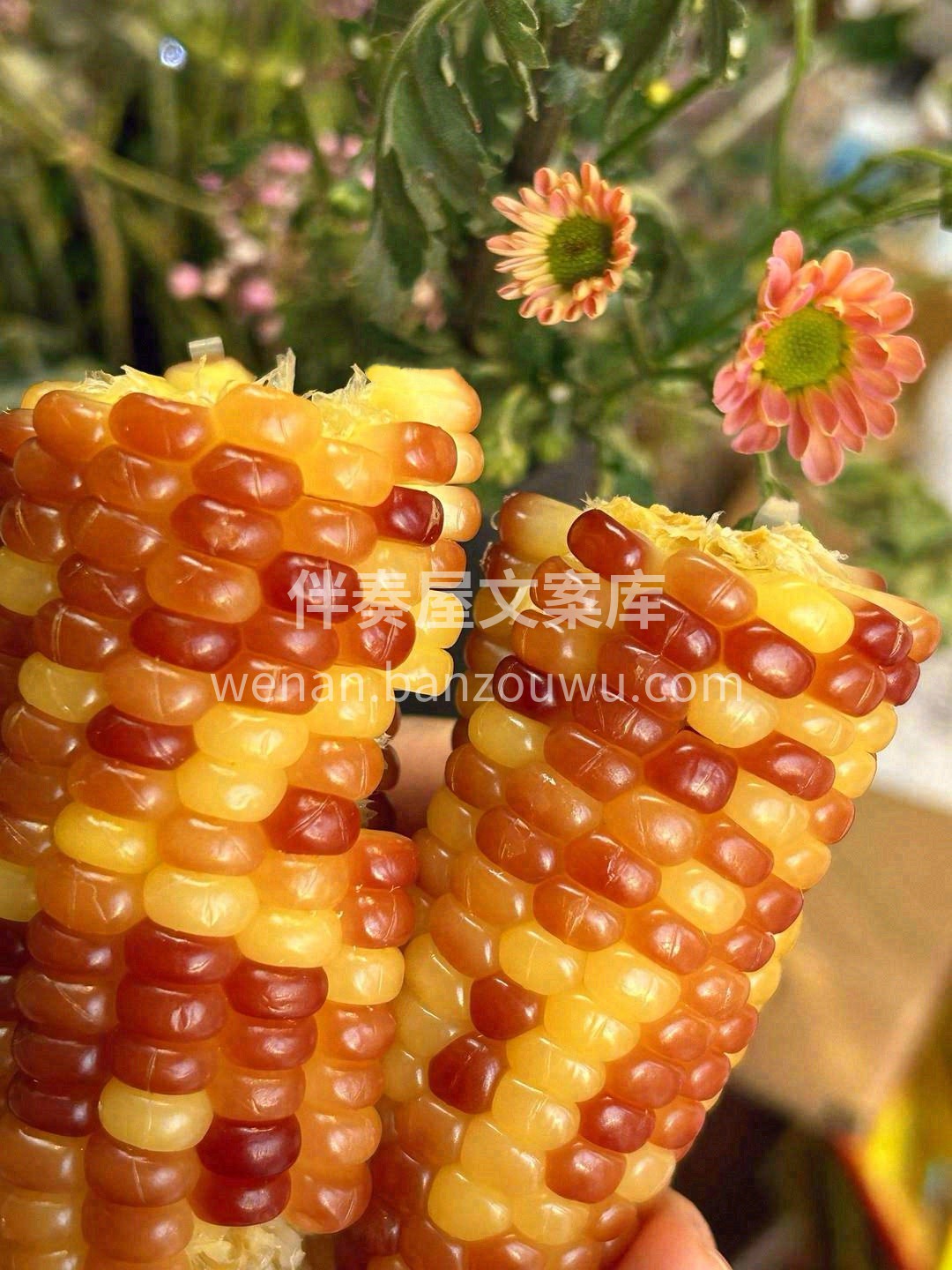 🌿扑面而来得玉米清香 一口咬下去，丝丝甜 配图3