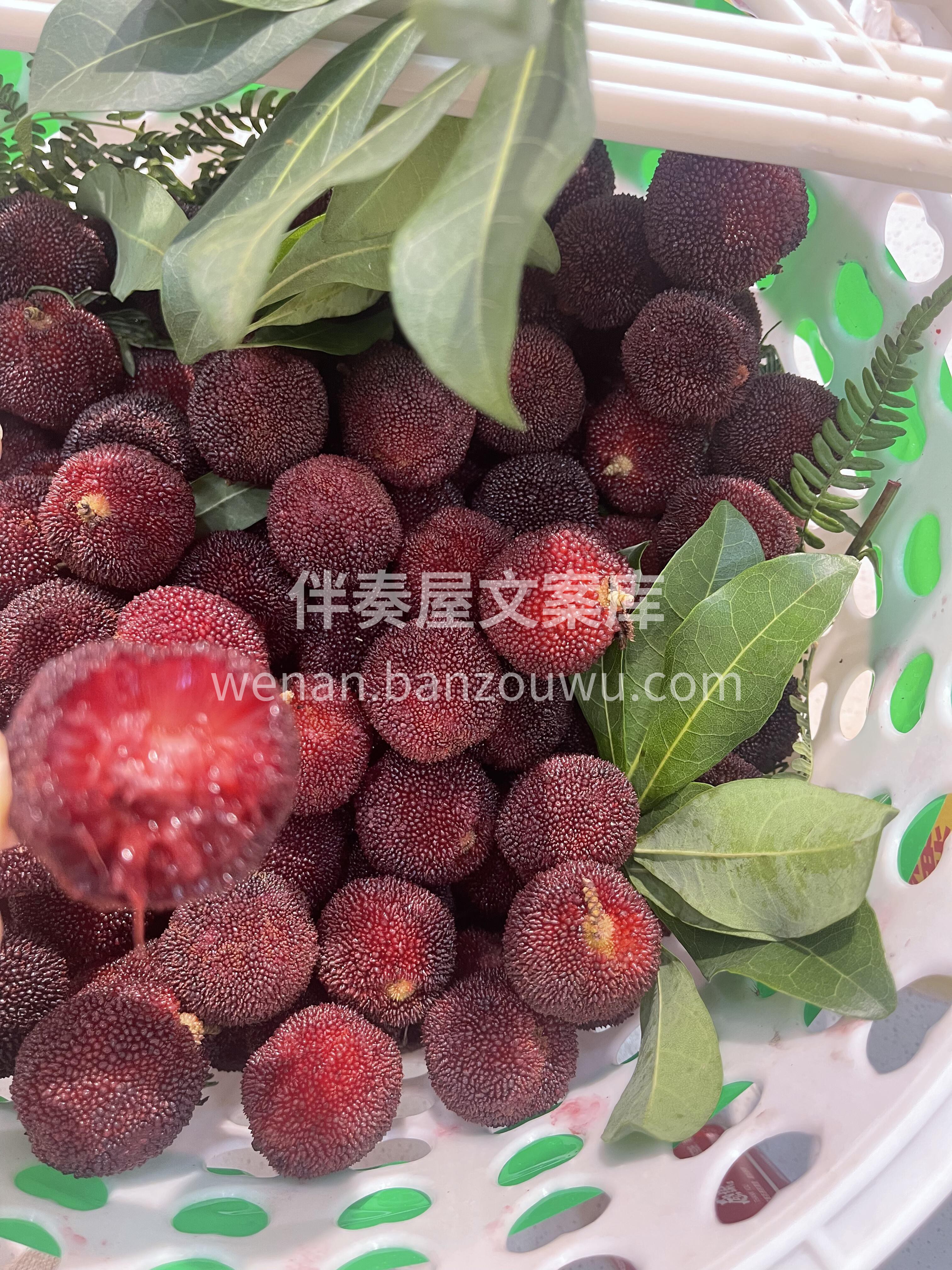 每天都被喜欢的水果，填满生活🥰 💕新鲜杨 配图3