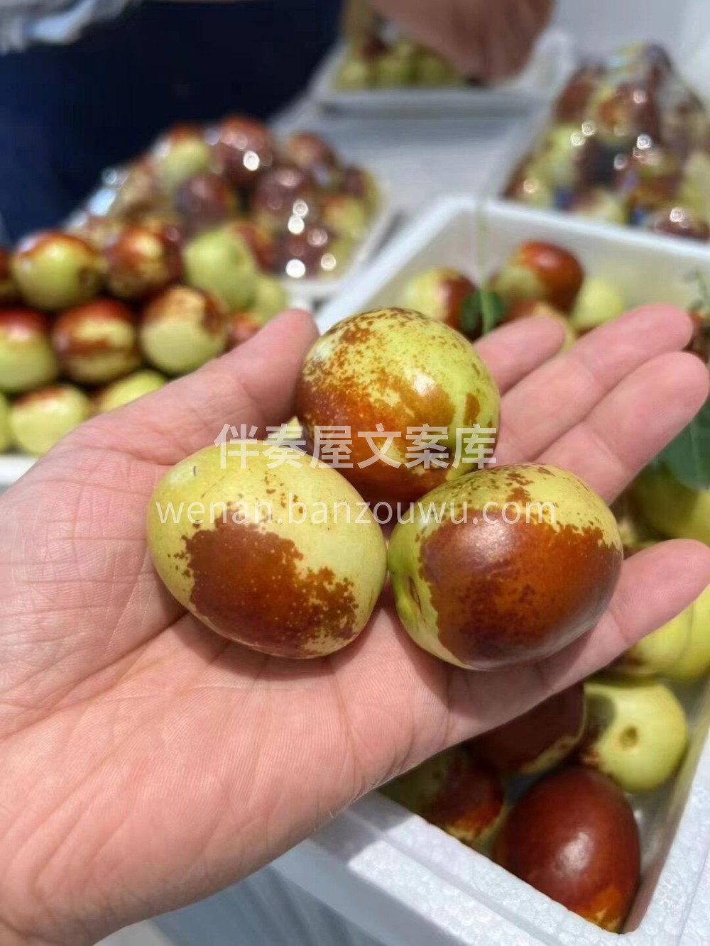每一口都是甜蜜🌈；每一口都嘎嘣脆☄️；每 配图2