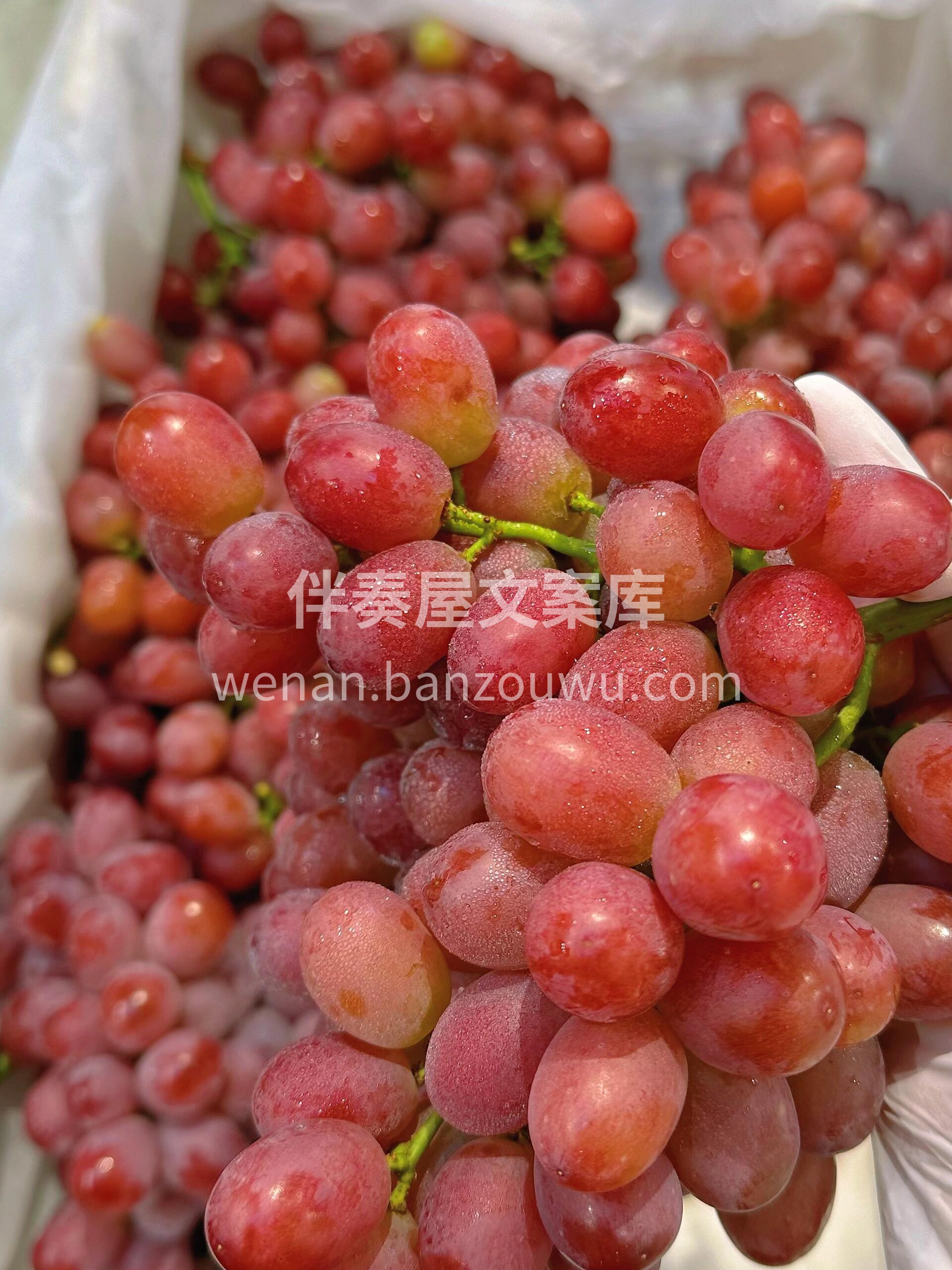 🔆 夏天的美好，因为风吹动了心❤️ 🍭生 配图2