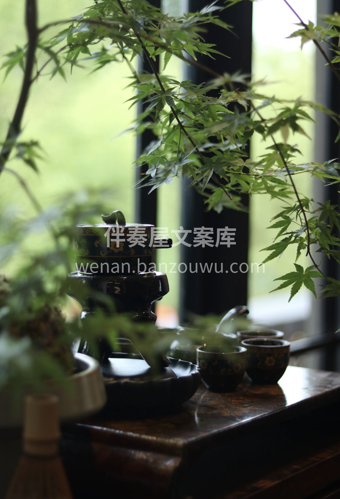 春归万物生✨，乌龙沁心脾。来自宝岛的云雾 配图3