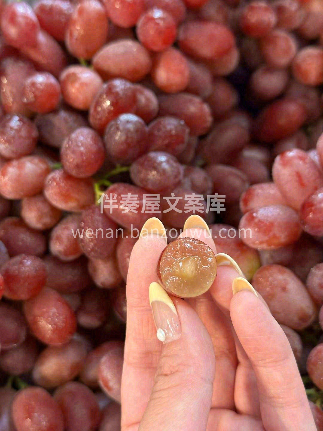 放进嘴里嚼的时候会发出“嘣”的一声💥 沁 配图3