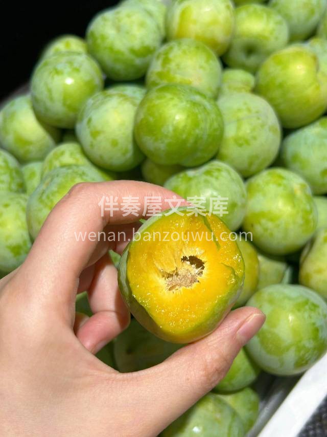 汶川黄心脱骨李 💥皮薄肉厚、脆甜爽口😋， 配图1