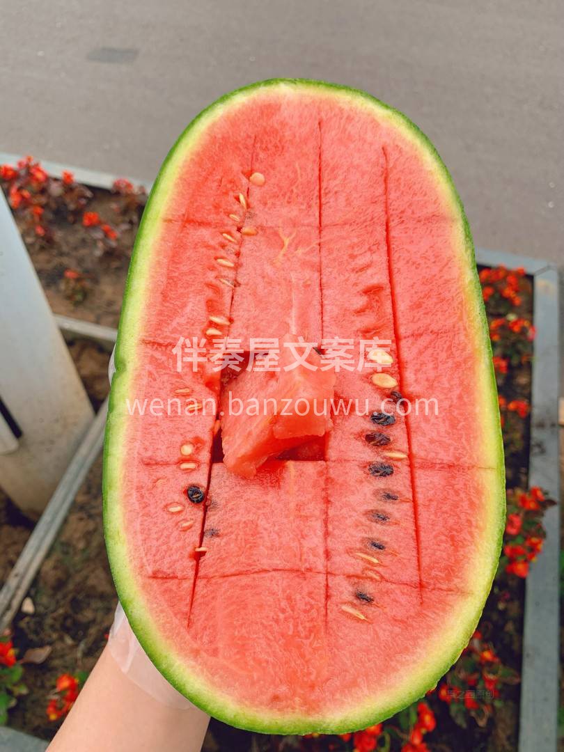 🌿2K小西瓜口感纯正细腻 瓜香四溢🍉，宛 配图2
