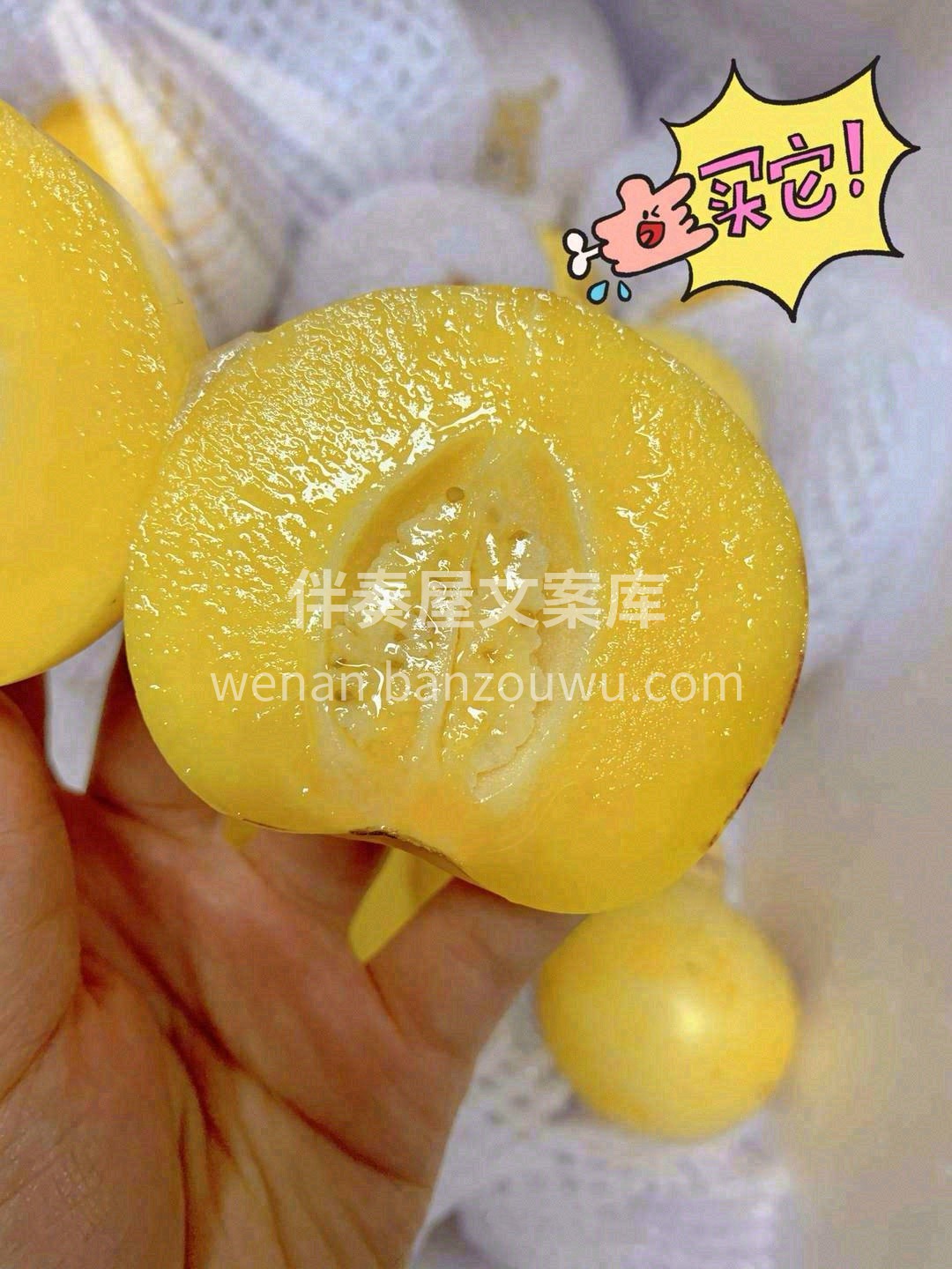🌱云南石林人参果带着诱人的蜜香味如期而来 配图2