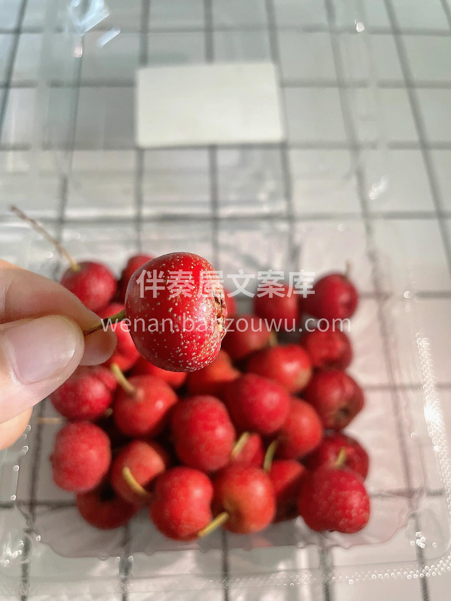🎉山里红山楂补货咯～✨ 🌿叶绿果红超新鲜 配图2