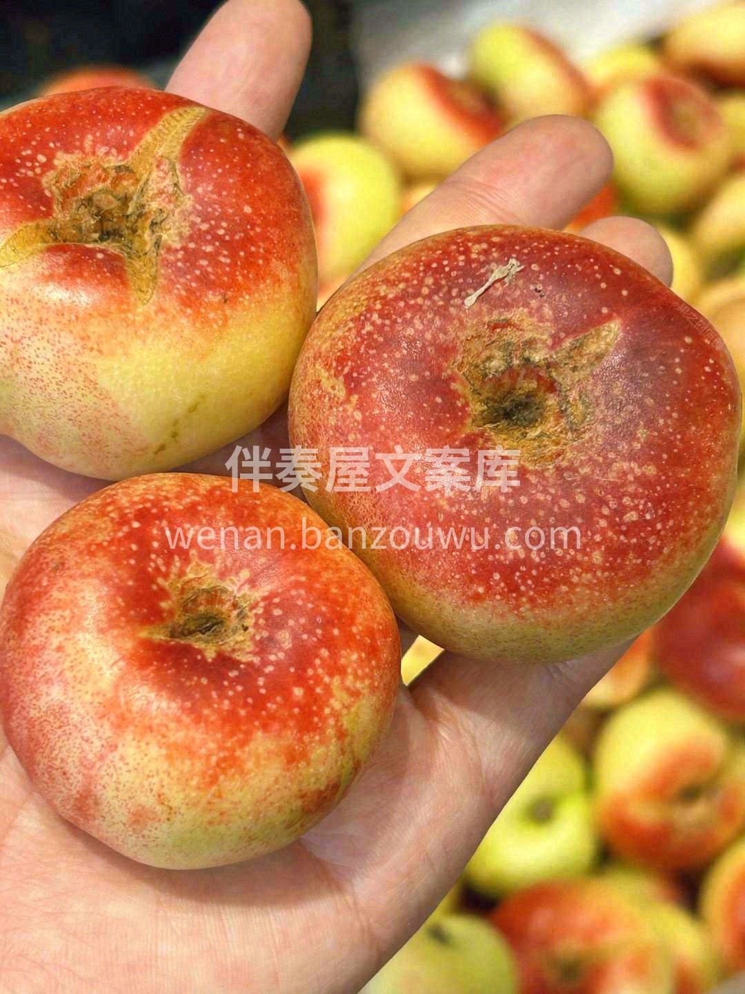 🍑只需要轻轻咬一口，😋这颗粉糯的立马会露 配图1
