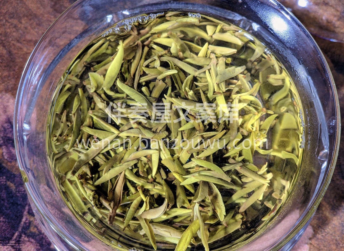 🍵 非遗工艺·蒙顶黄芽 芽嫩如金，汤亮似 配图2