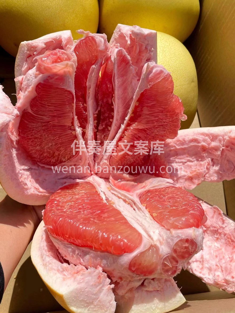 🍃甜丝丝的三红柚，好吃😋秋冬吃柚，柚子可 配图1