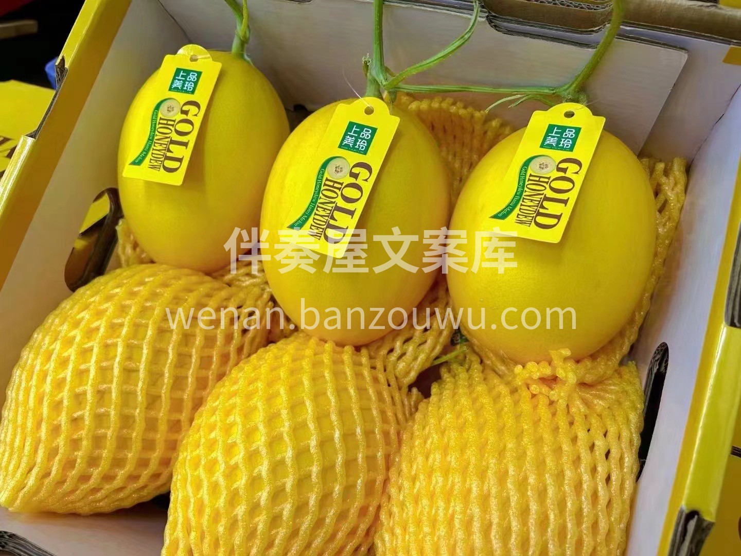 上品金玲黄金蜜露 宛如打翻蜜罐，一般的甜 配图2